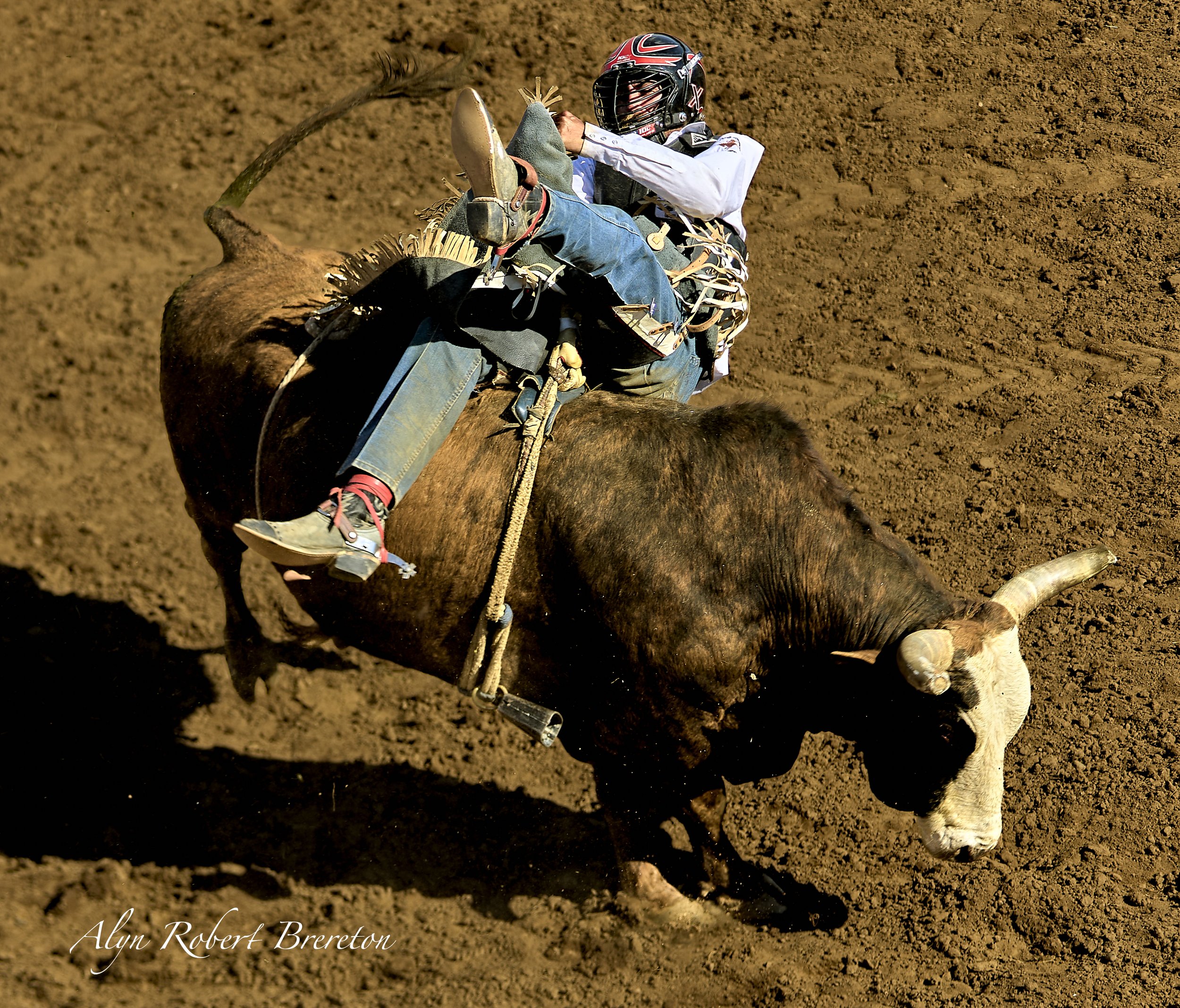 Alyn Robert Brereton 40.jpg