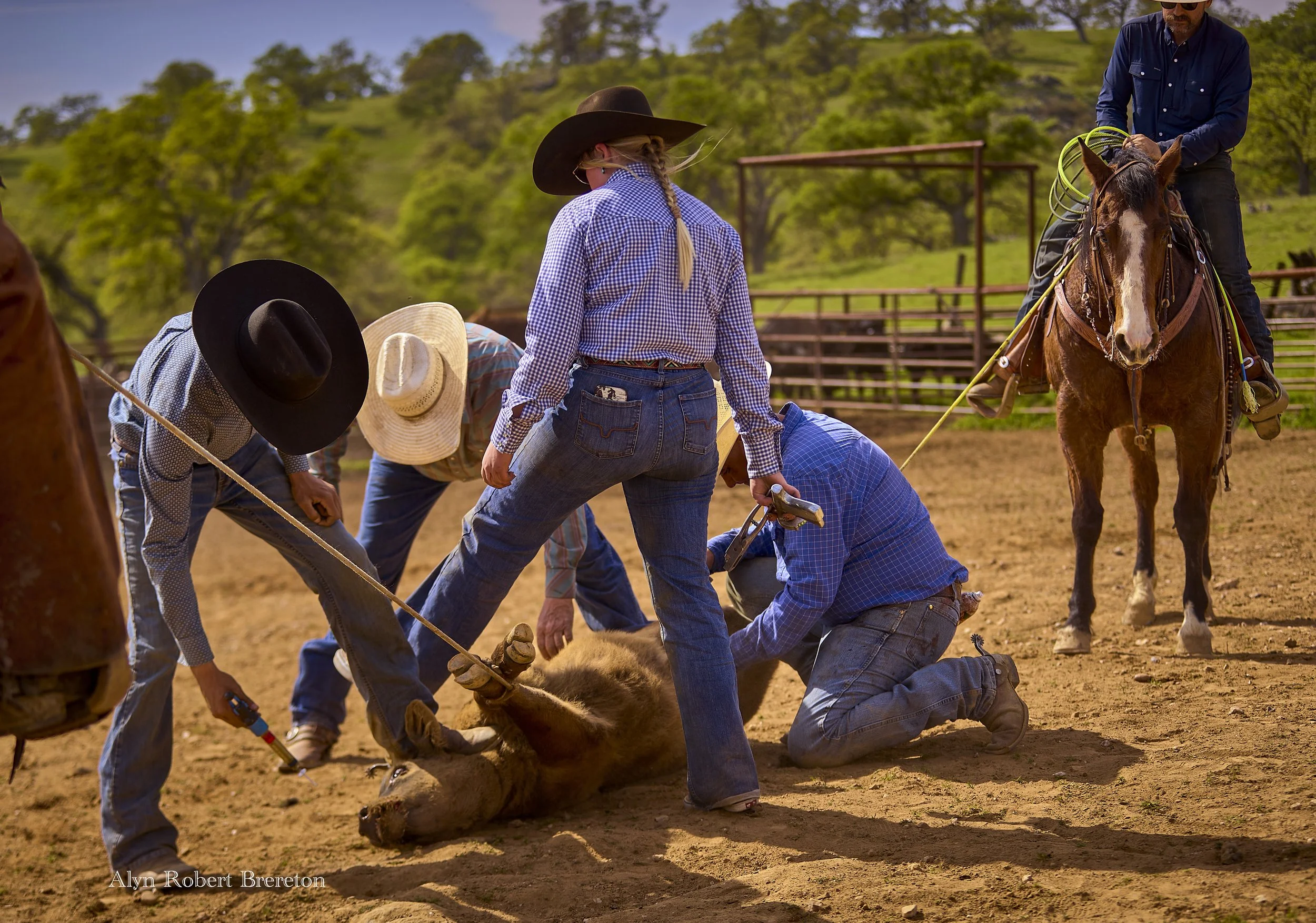 Alyn Robert Brereton 30.jpg