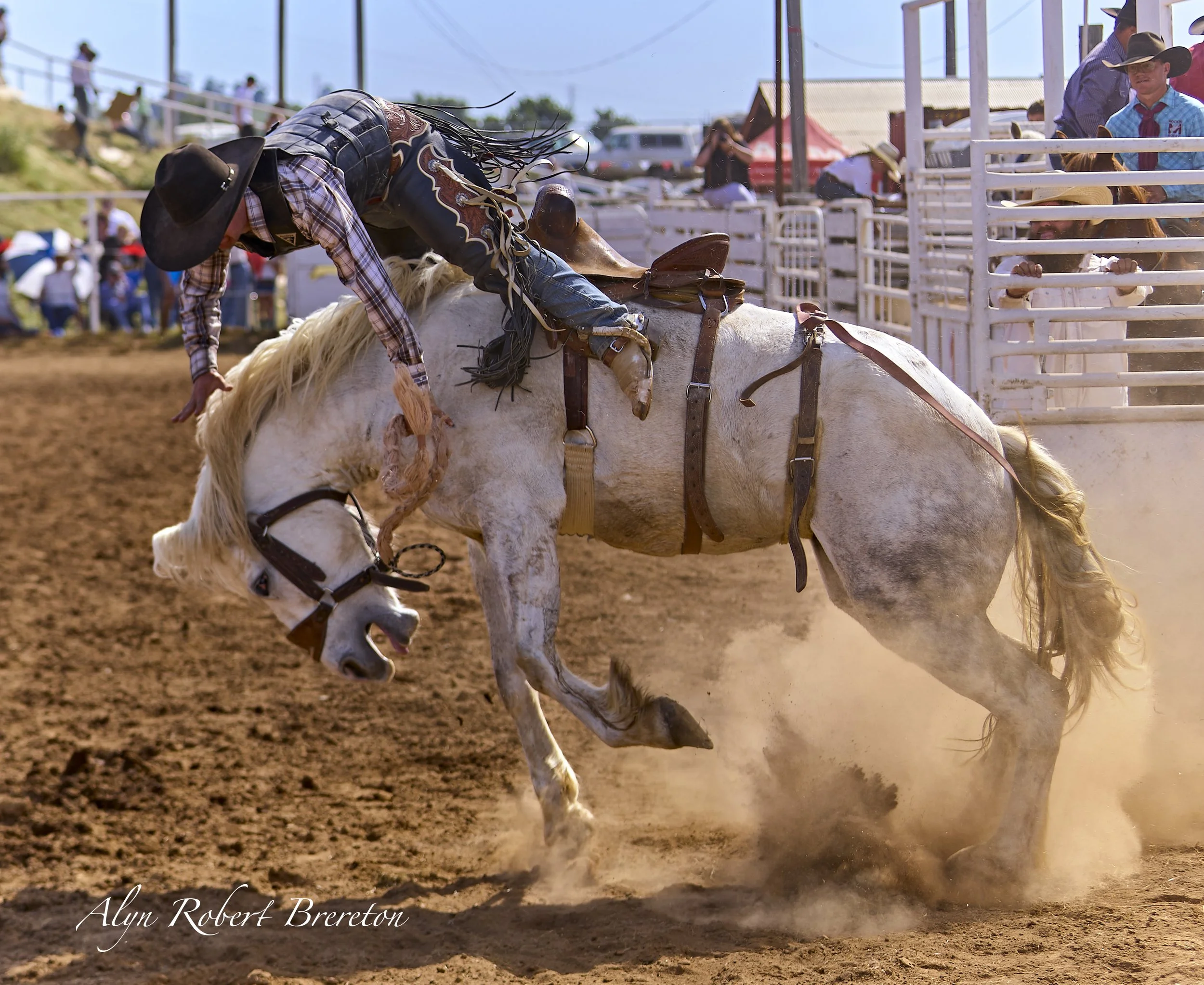 Alyn Robert Brereton 26.jpg