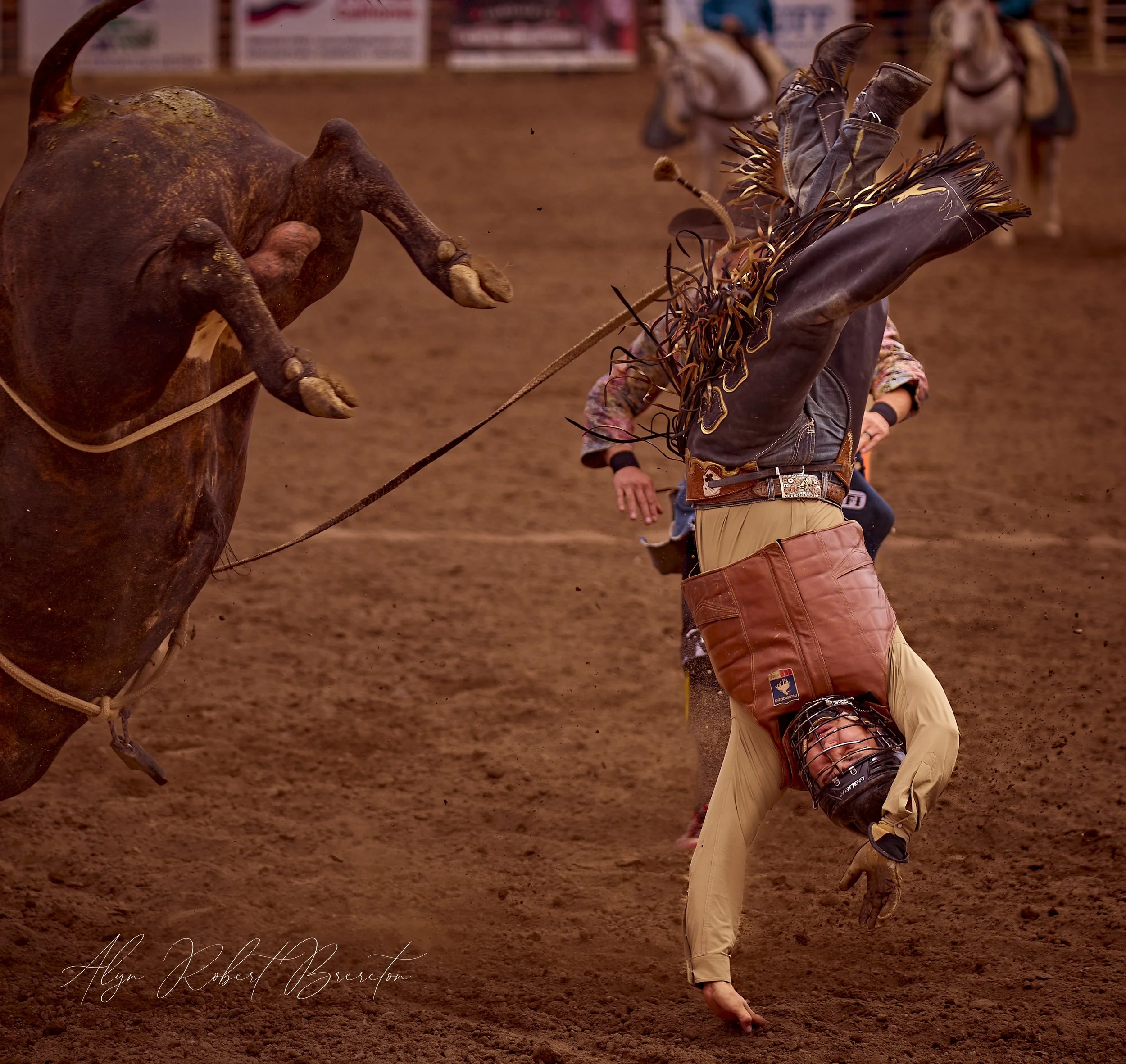 Alyn Robert Brereton 11.jpg