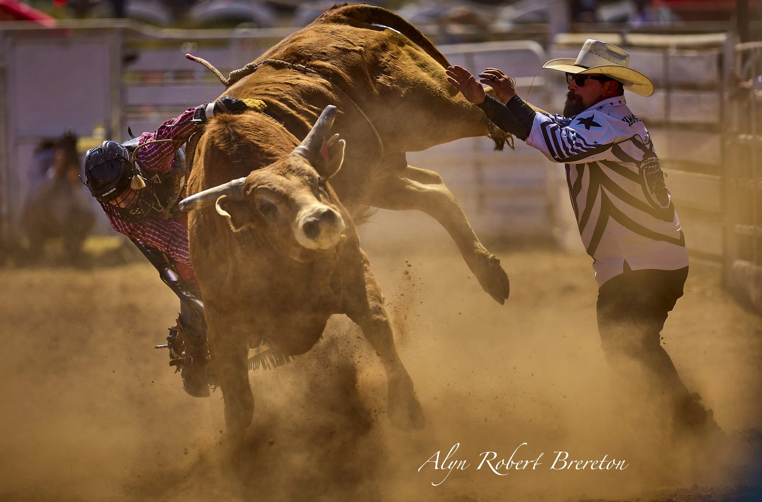 Alyn Robert Brereton 9.jpg