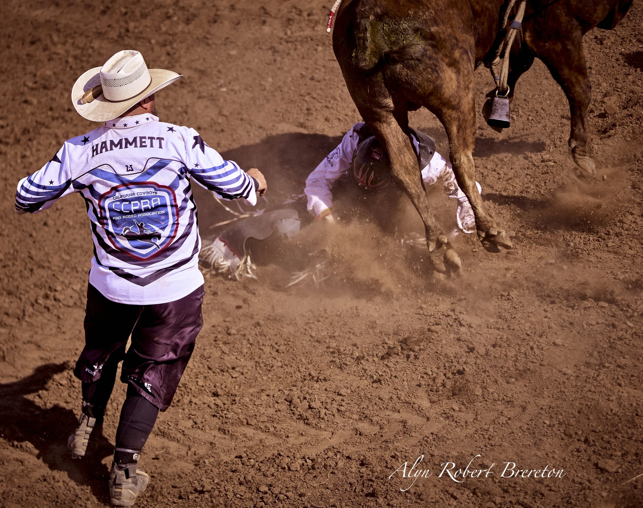 Alyn Robert Brereton 44.jpg