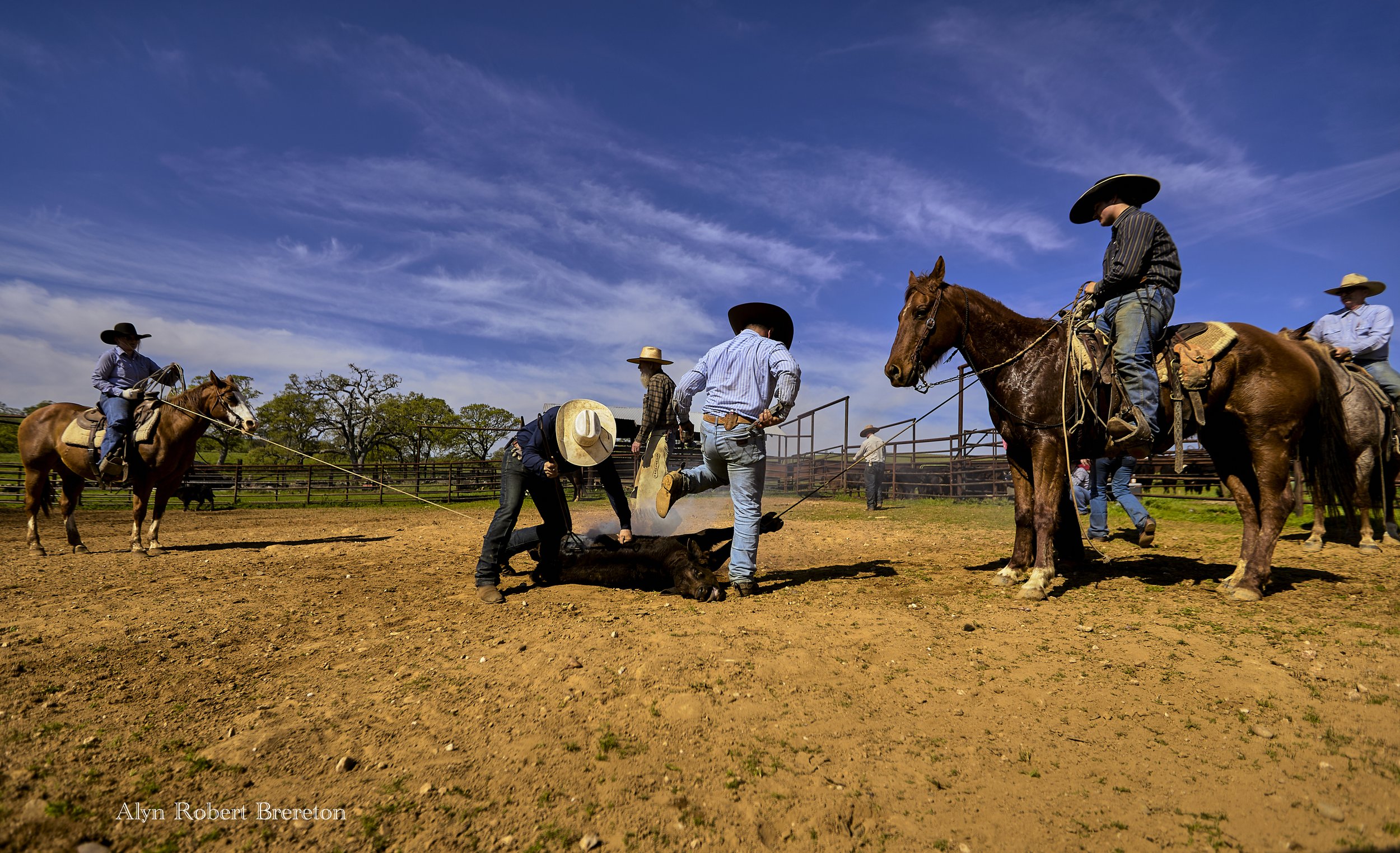 Alyn Robert Brereton 14.jpg