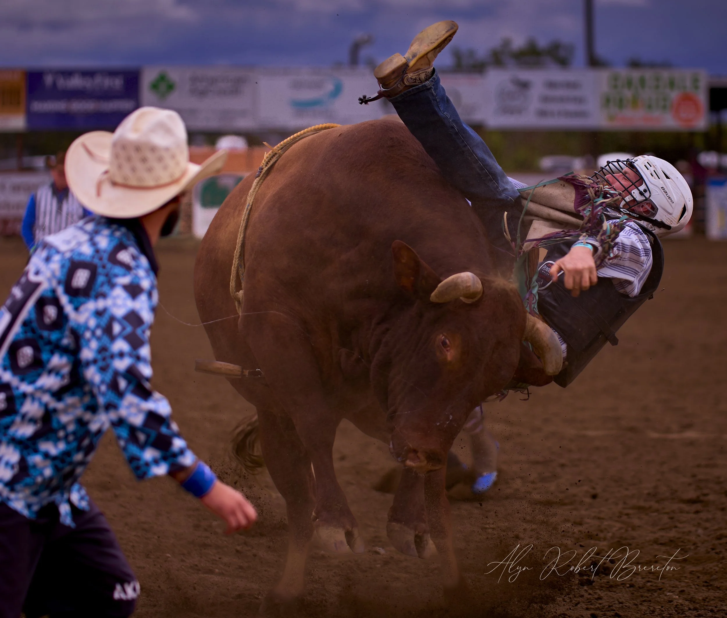 Alyn Robert Brereton 7.jpg