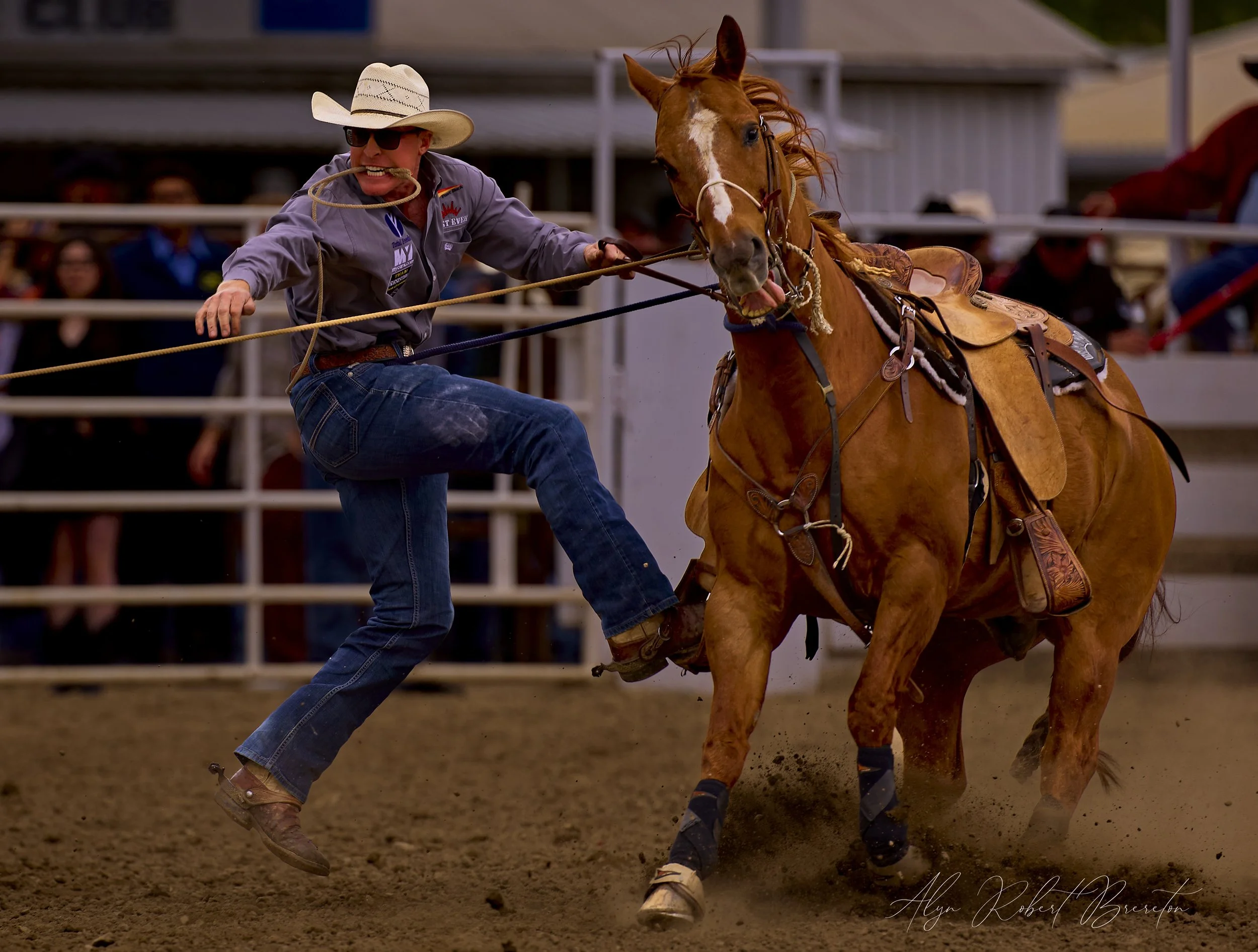 Alyn Robert Brereton 22.jpg