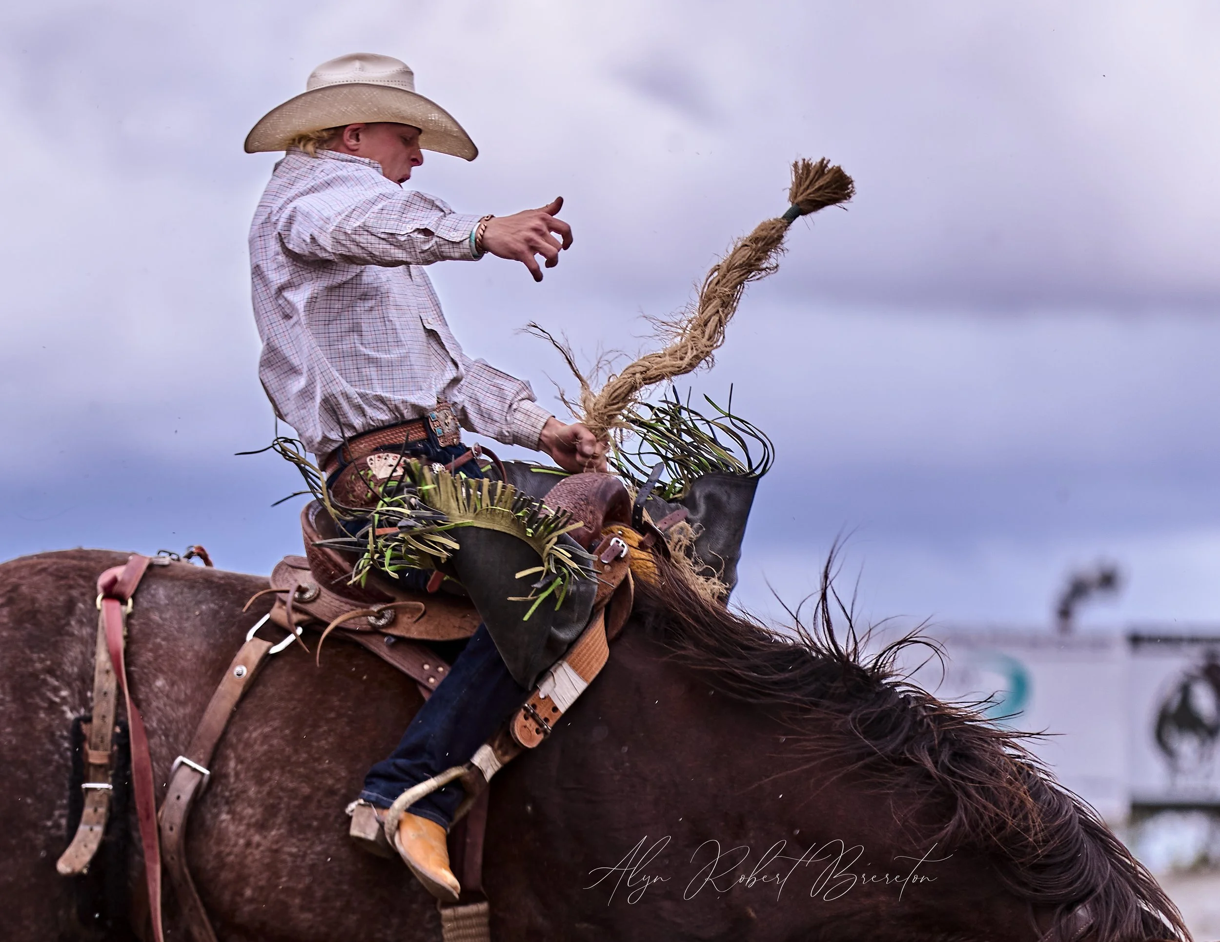 Alyn Robert Brereton 47.jpg