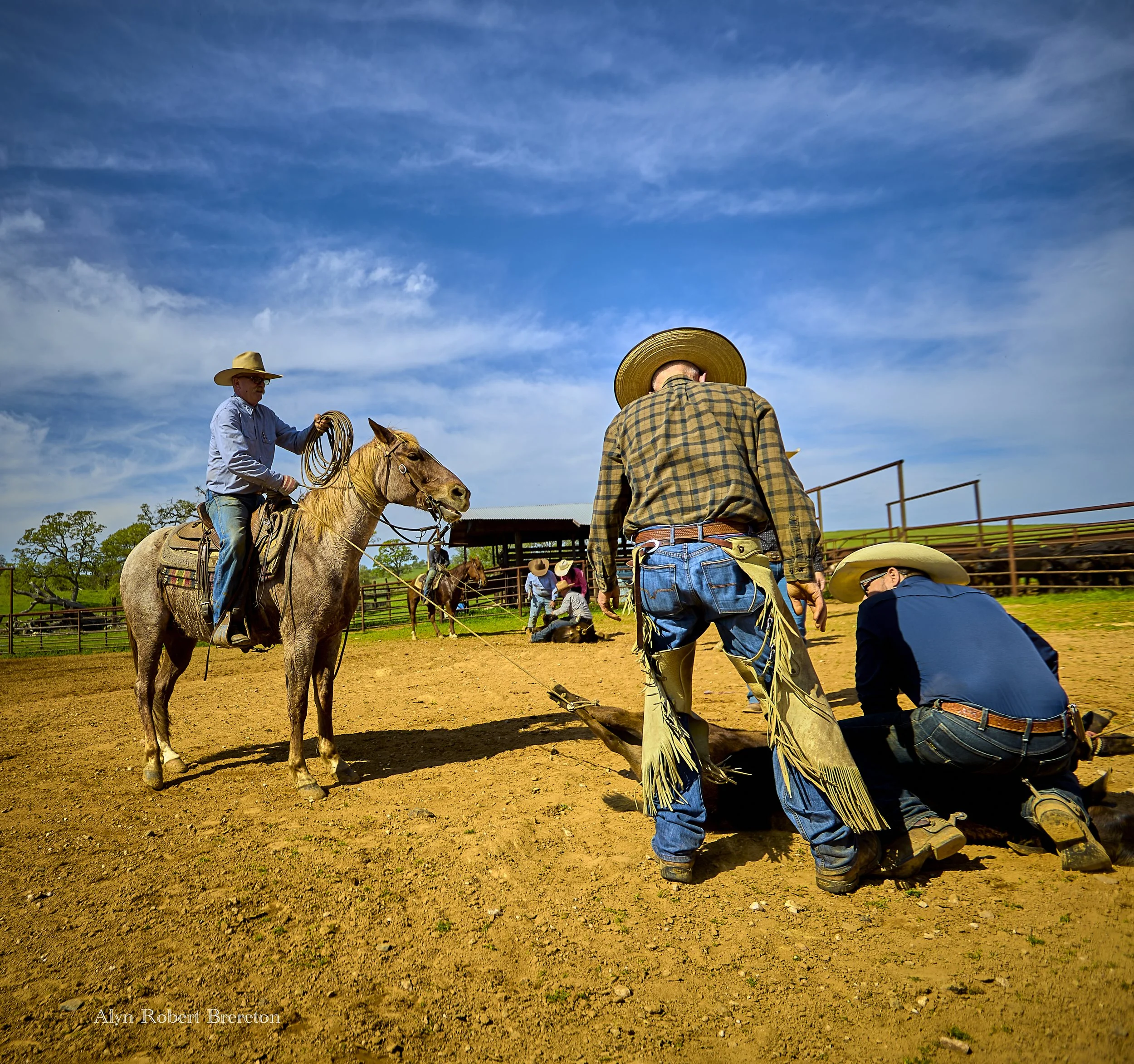 Alyn Robert Brereton 16.jpg