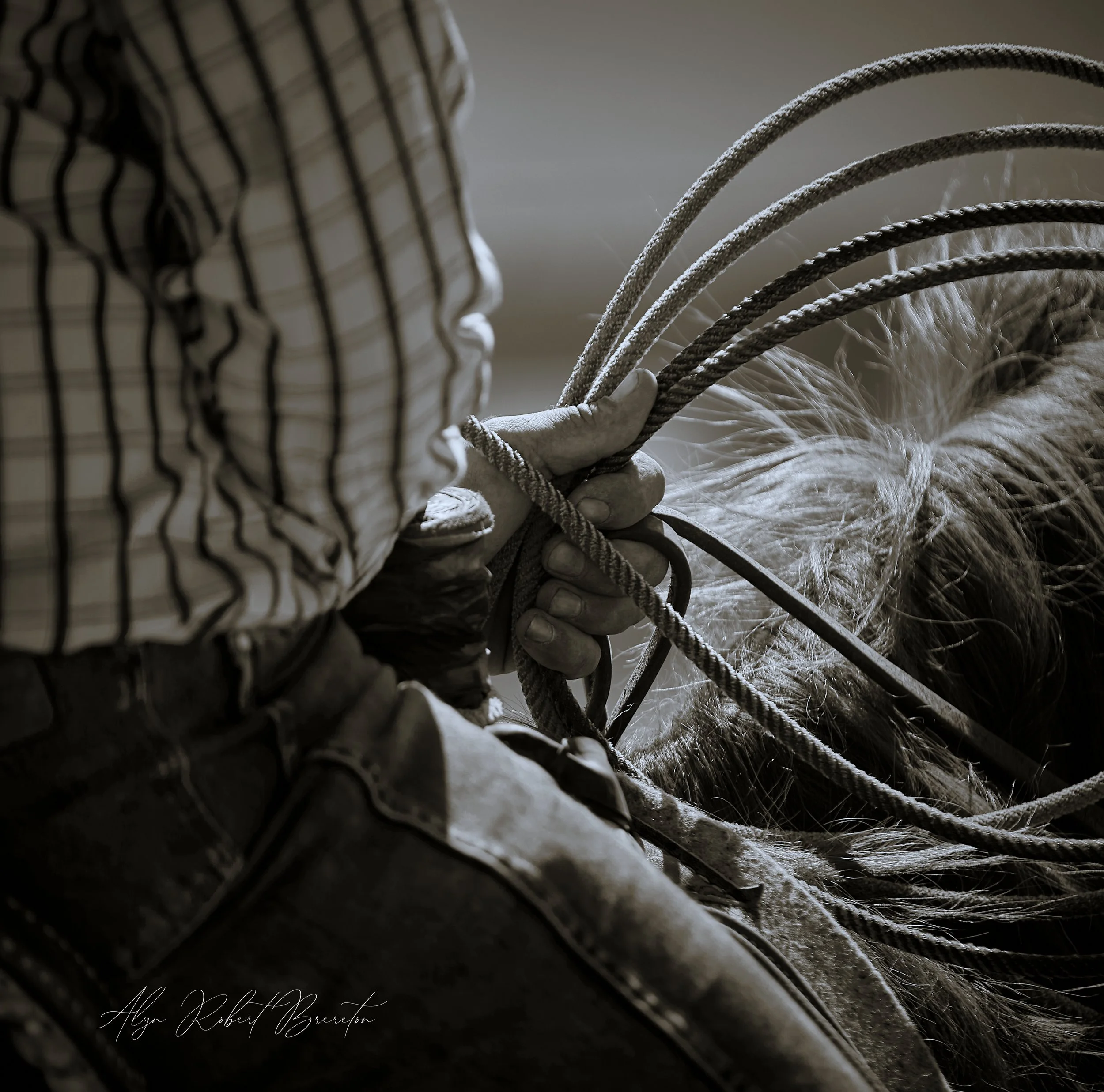 Alyn Robert Brereton 14.jpg