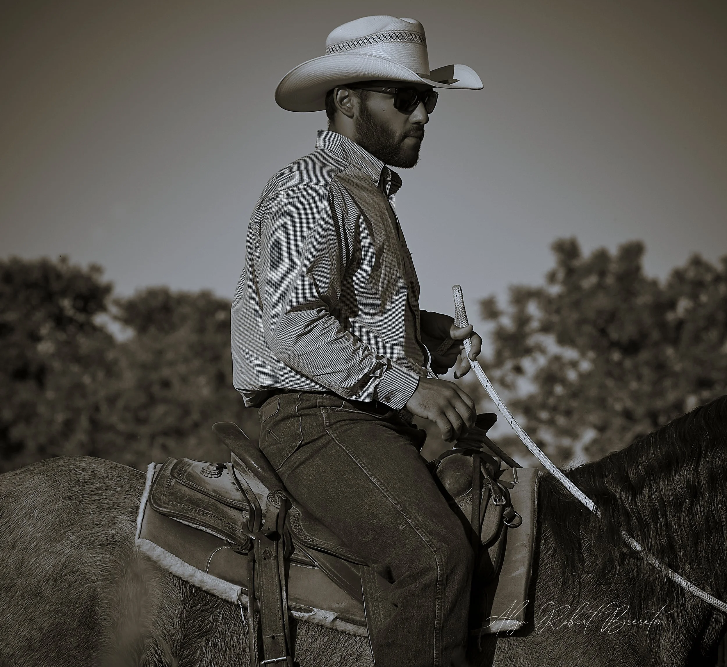 Alyn Robert Brereton 1.jpg