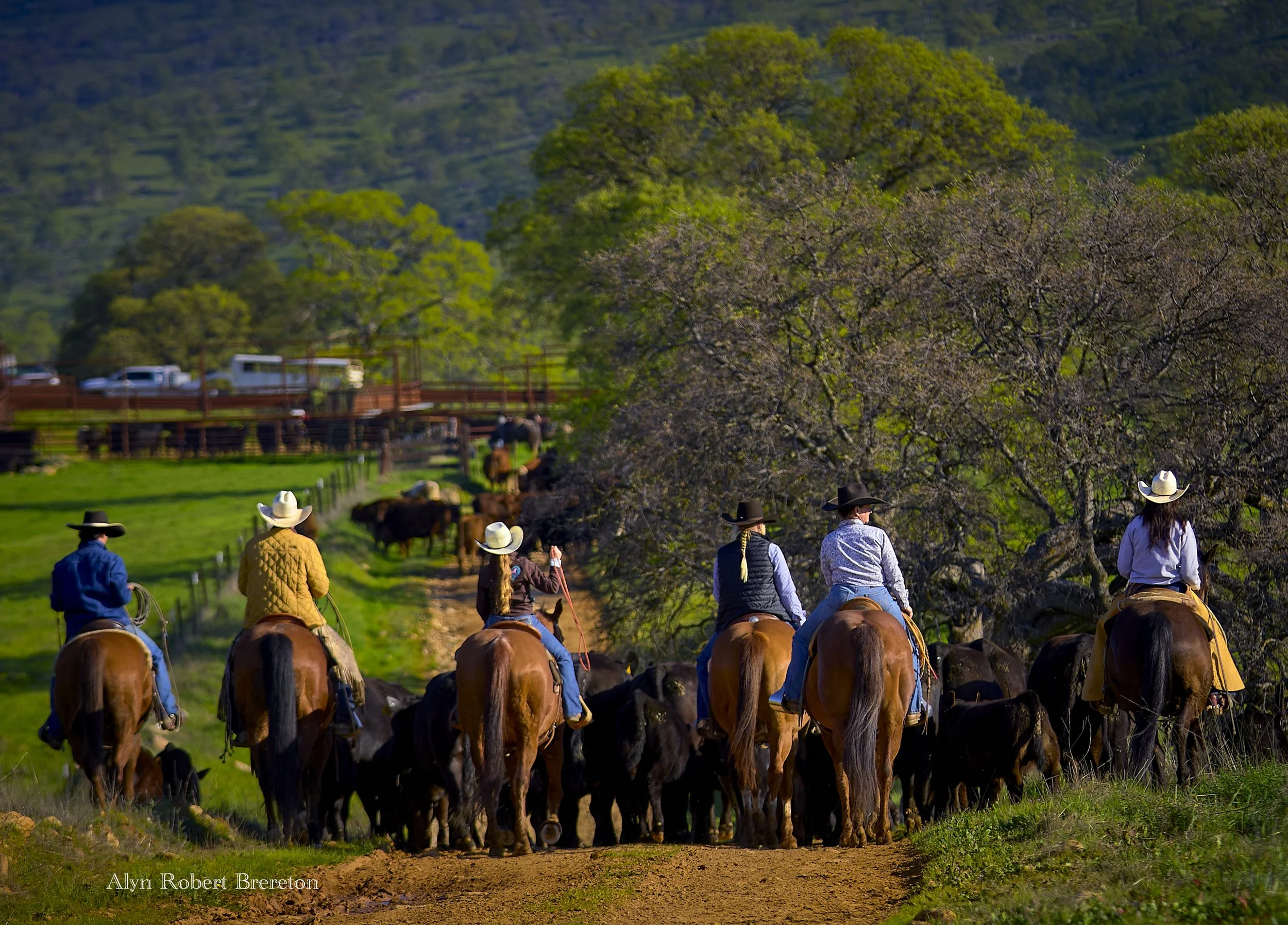 Alyn Robert Brereton 4.jpg