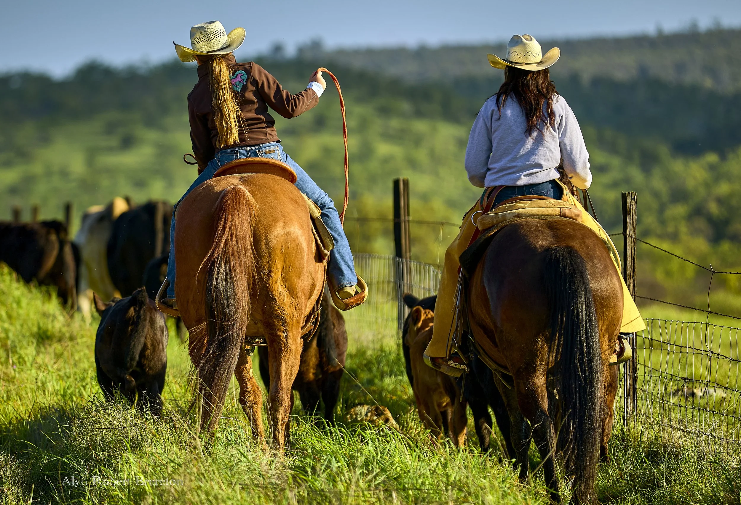 Alyn Robert Brereton 1.jpg