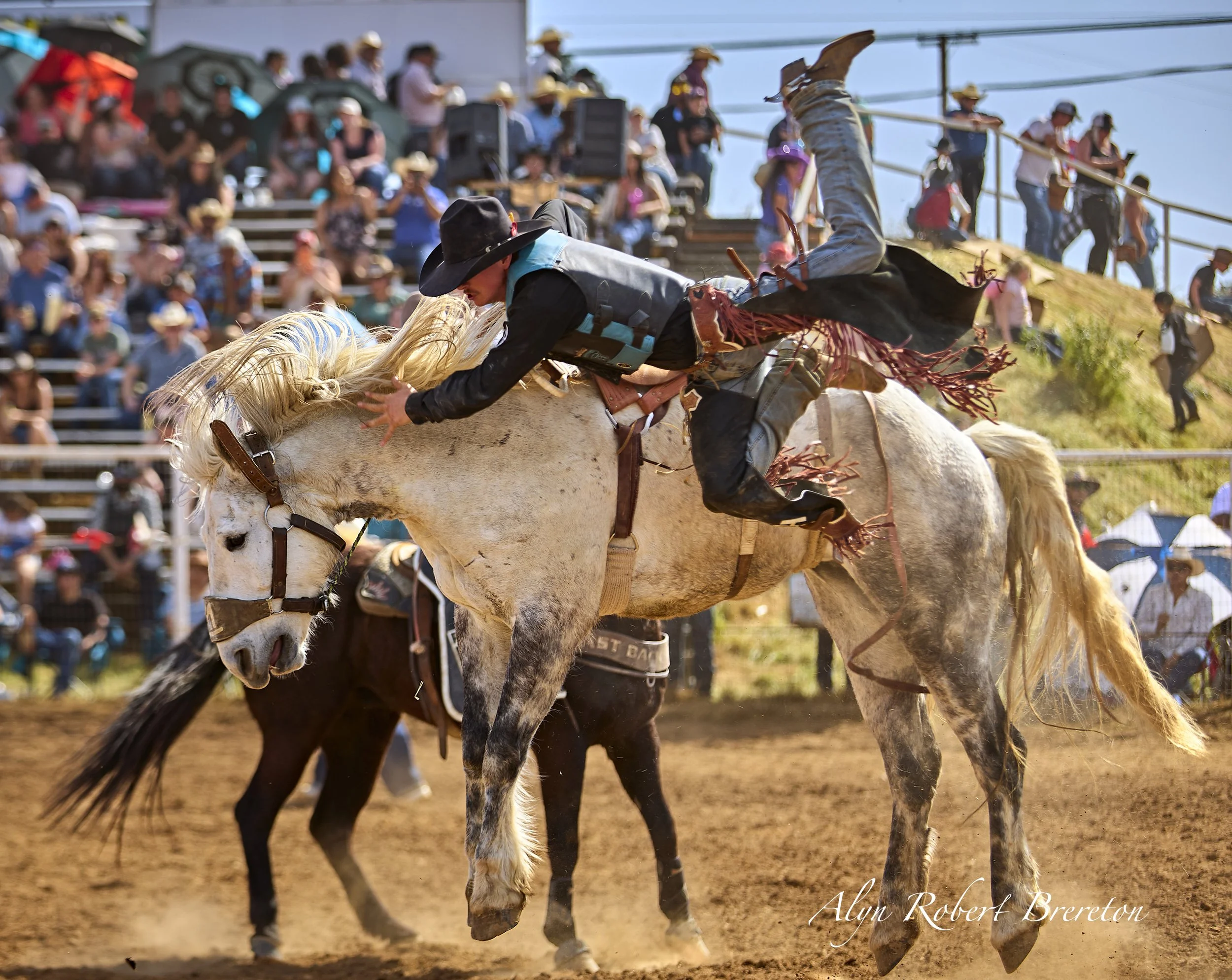 Alyn Robert Brereton 27.jpg