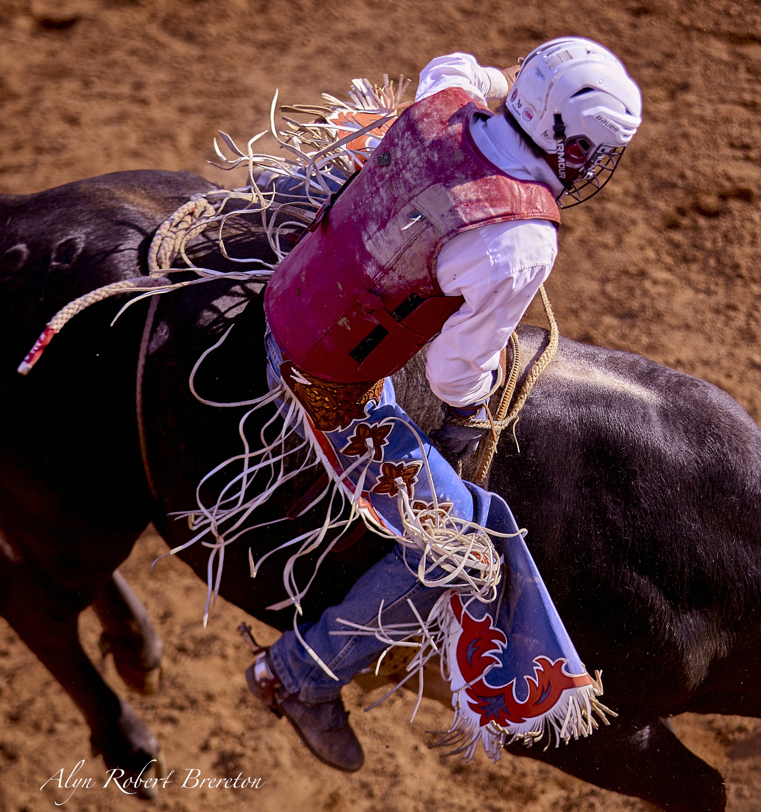 Alyn Robert Brereton 46.jpg