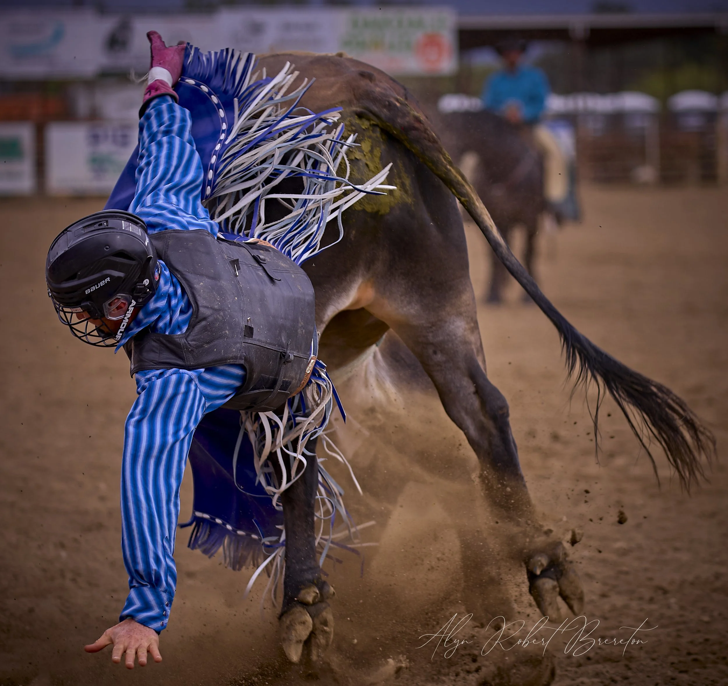 Alyn Robert Brereton 33.jpg