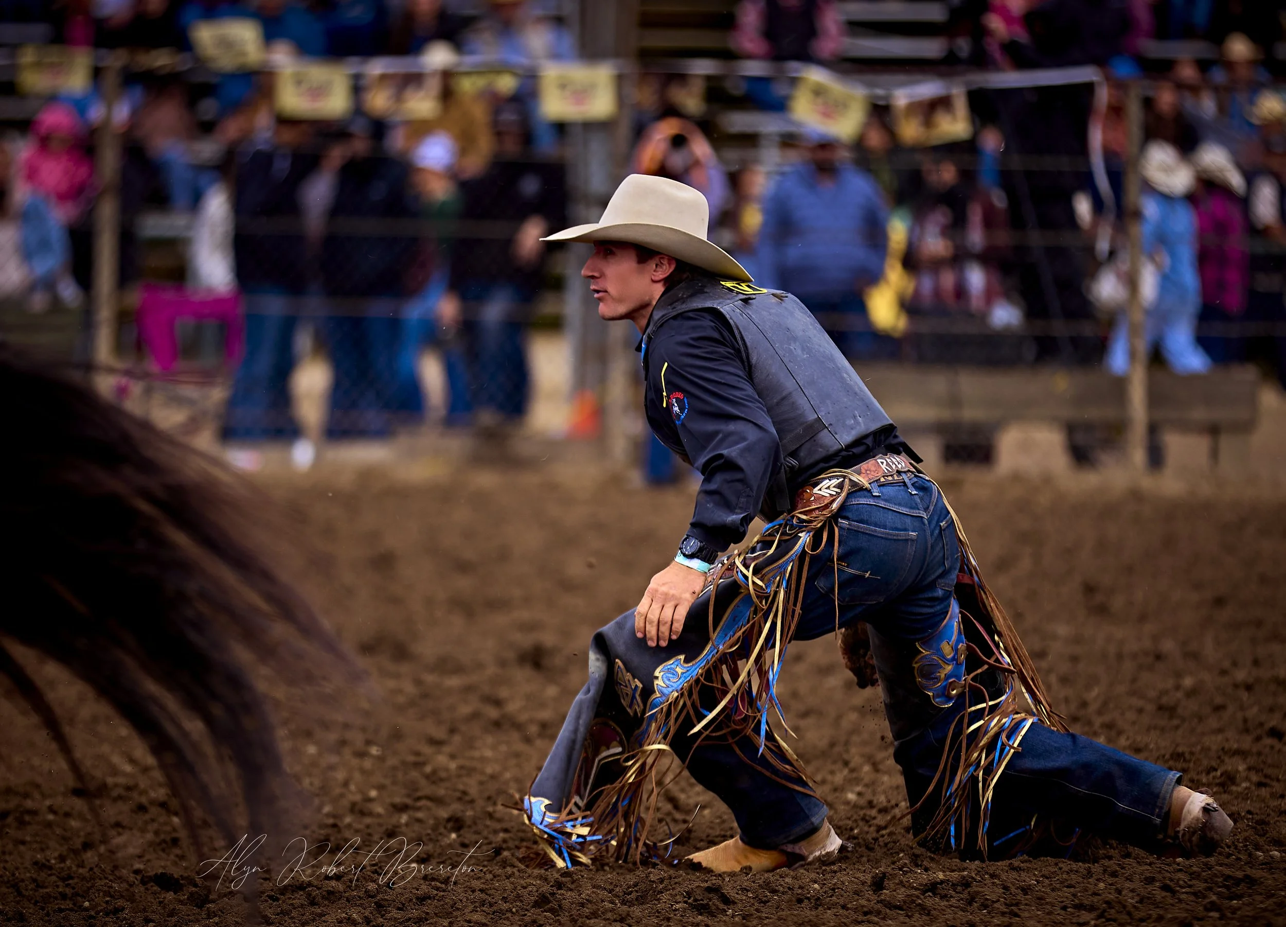 Alyn Robert Brereton 56.jpg