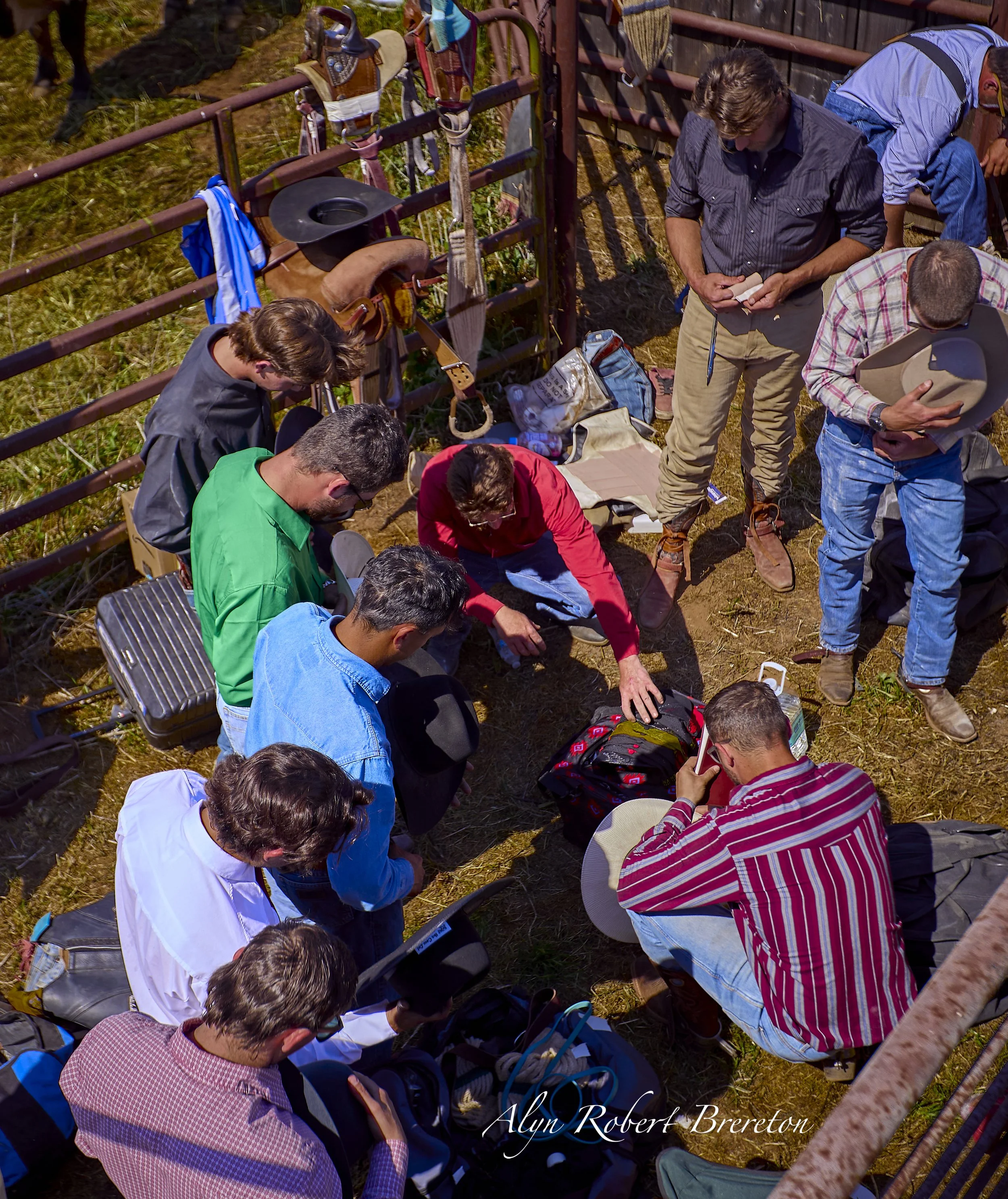 Alyn Robert Brereton.jpg