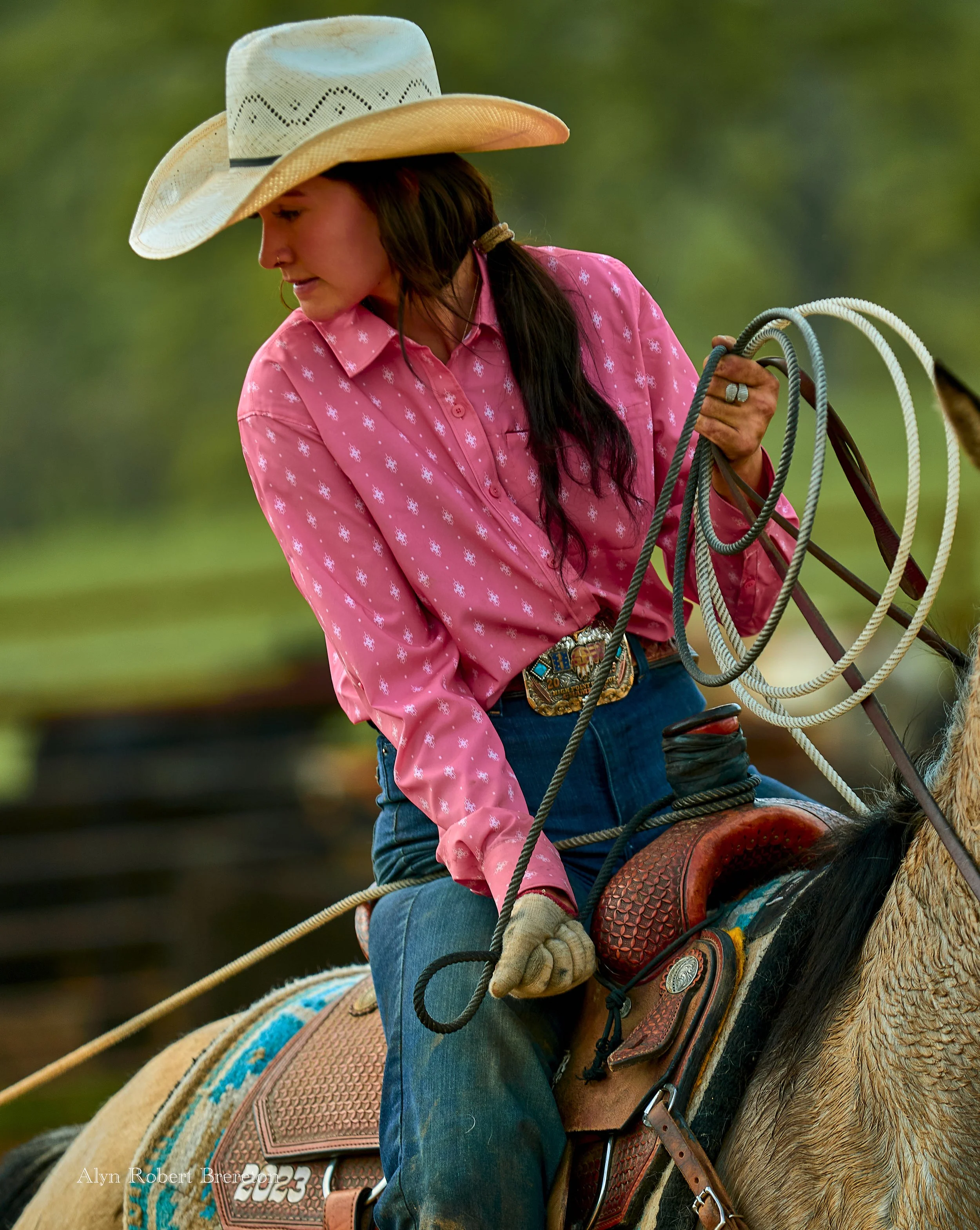 Alyn Robert Brereton 27.jpg