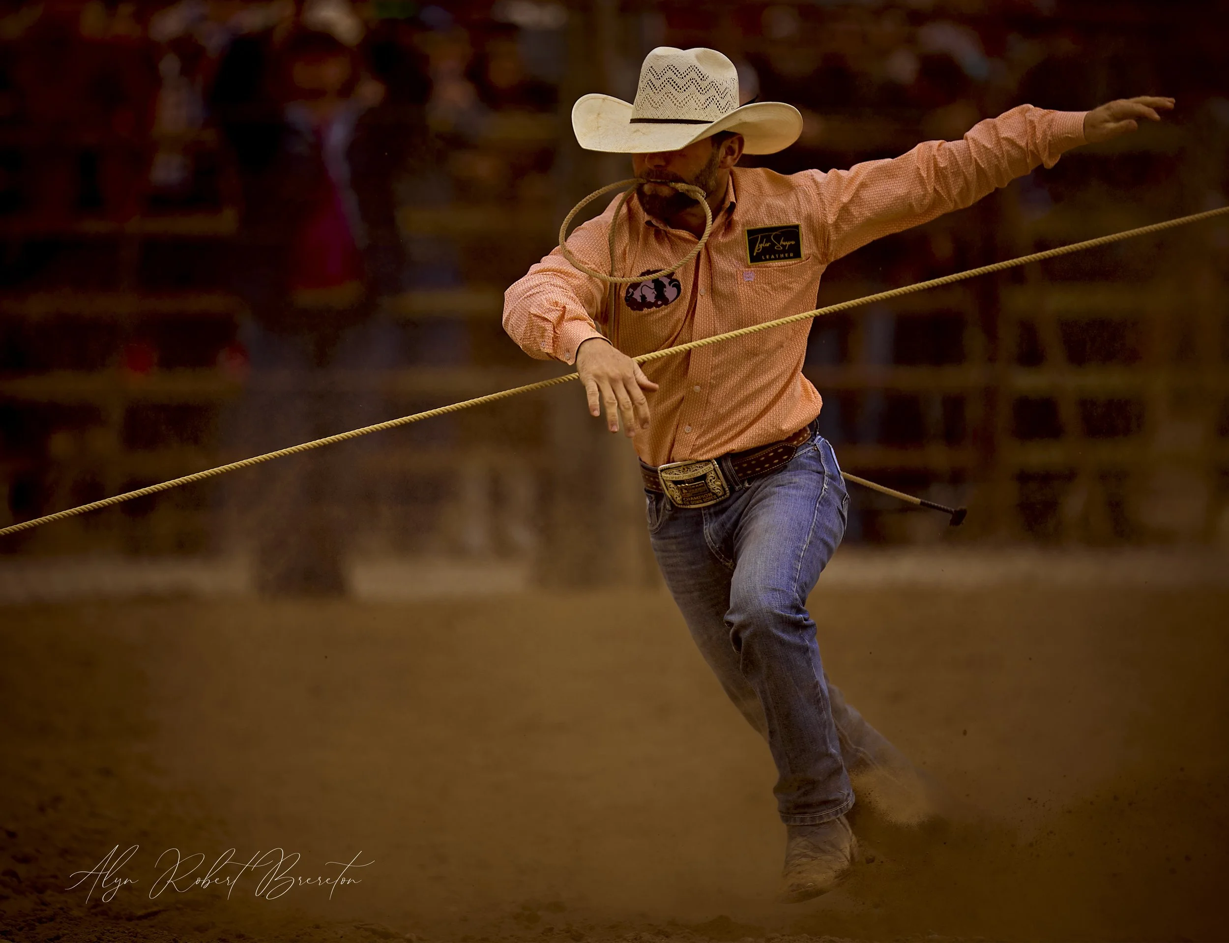 Alyn Robert Brereton 21.jpg