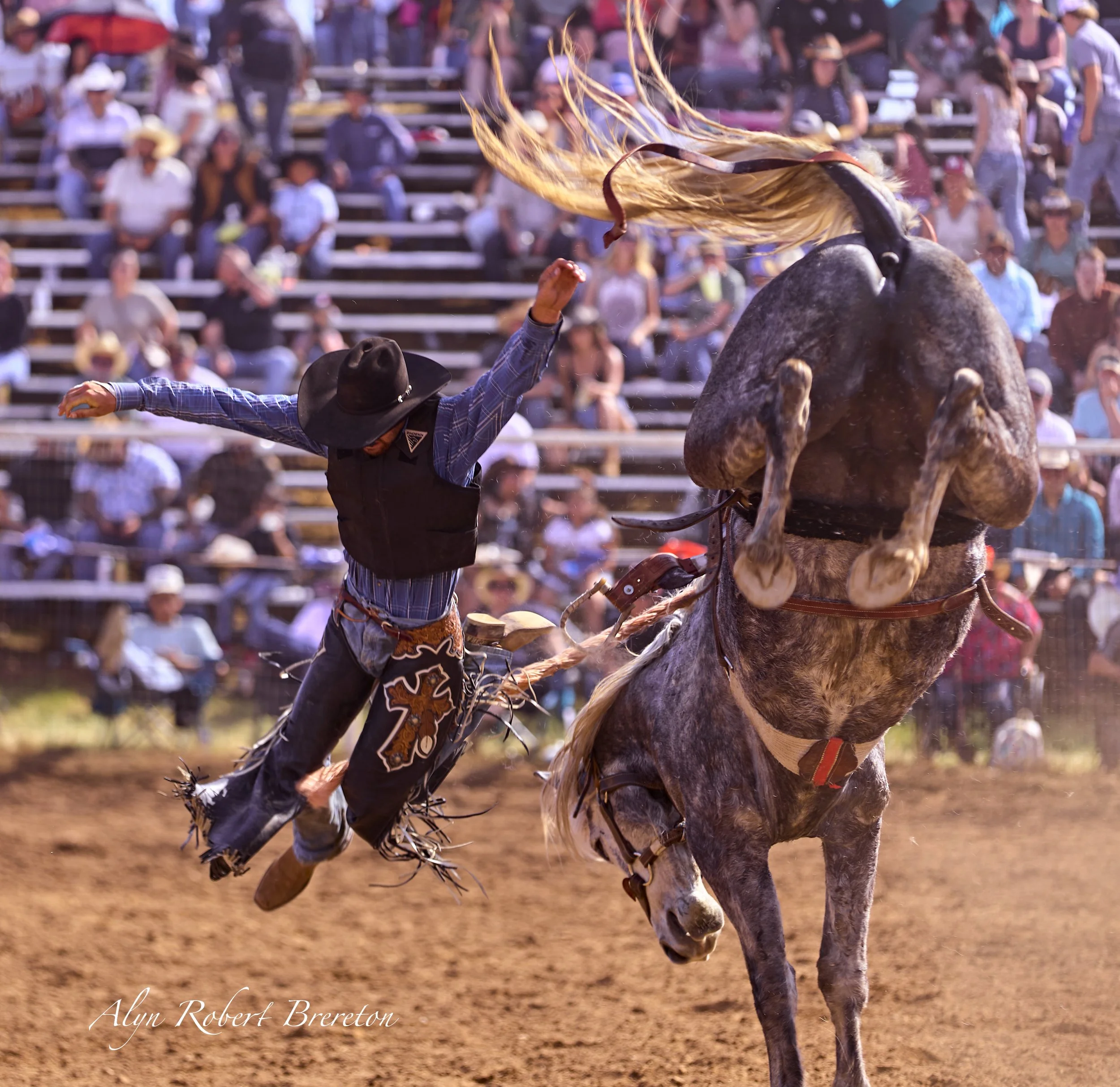 Alyn Robert Brereton 29.jpg