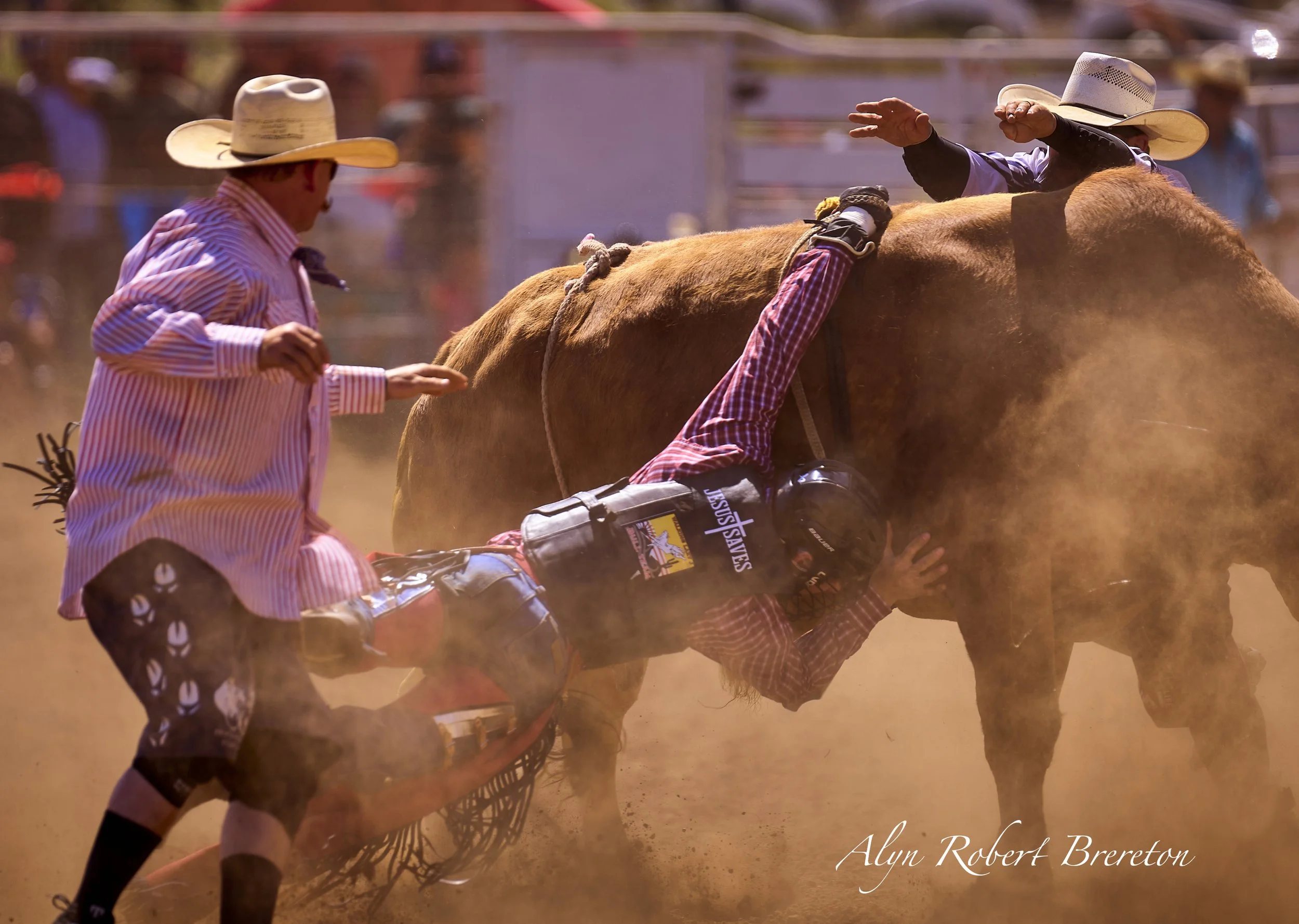 Alyn Robert Brereton 10.jpg