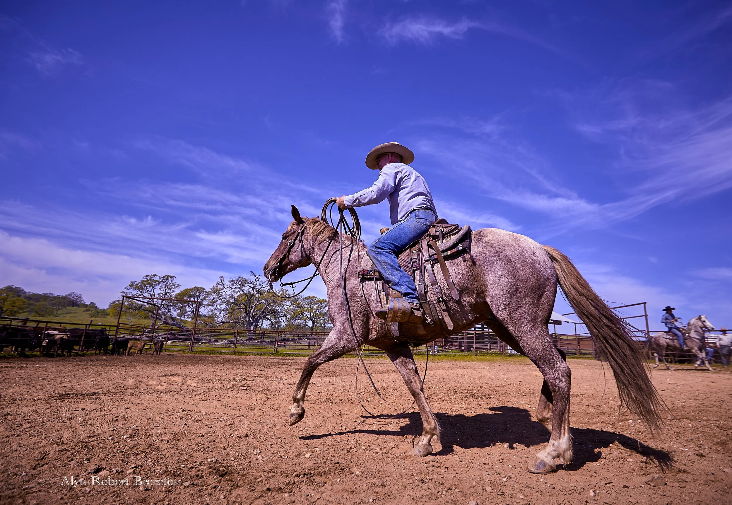 Alyn Robert Brereton 13.jpg