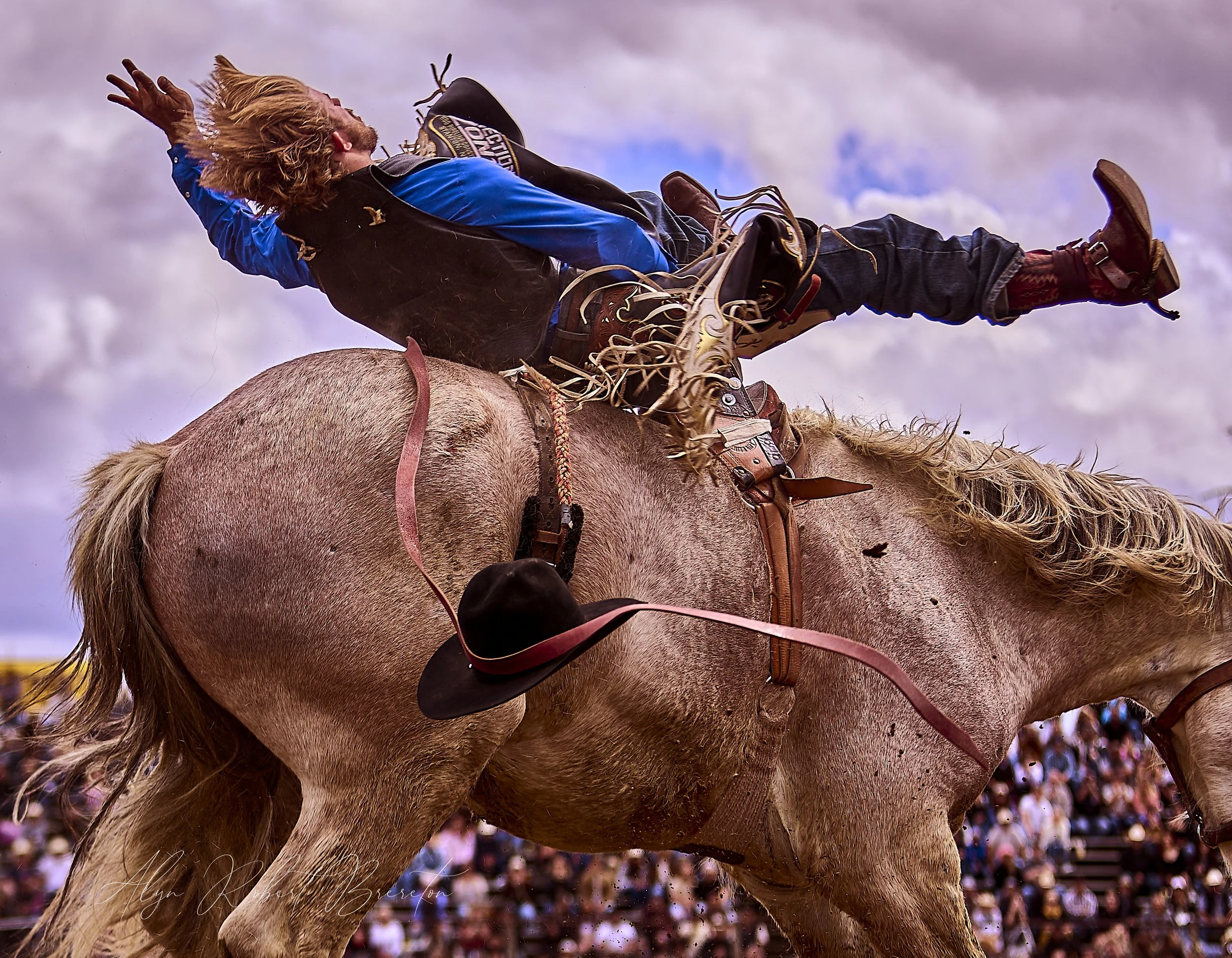 Alyn Robert Brereton 44.jpg