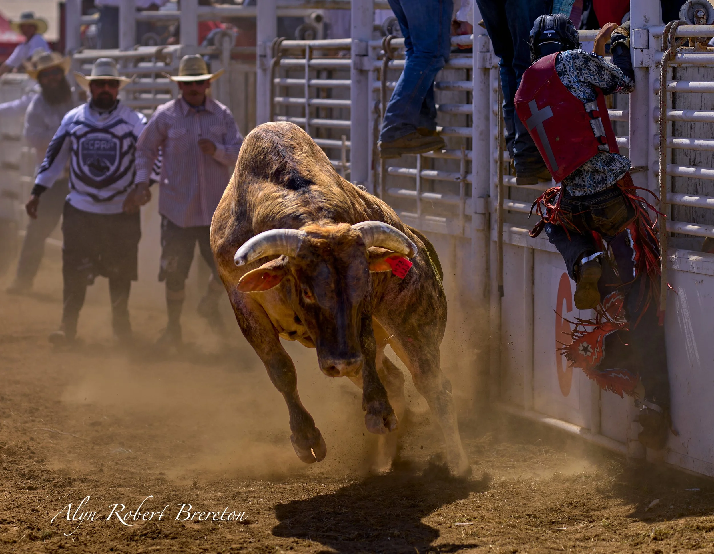 Alyn Robert Brereton 6.jpg