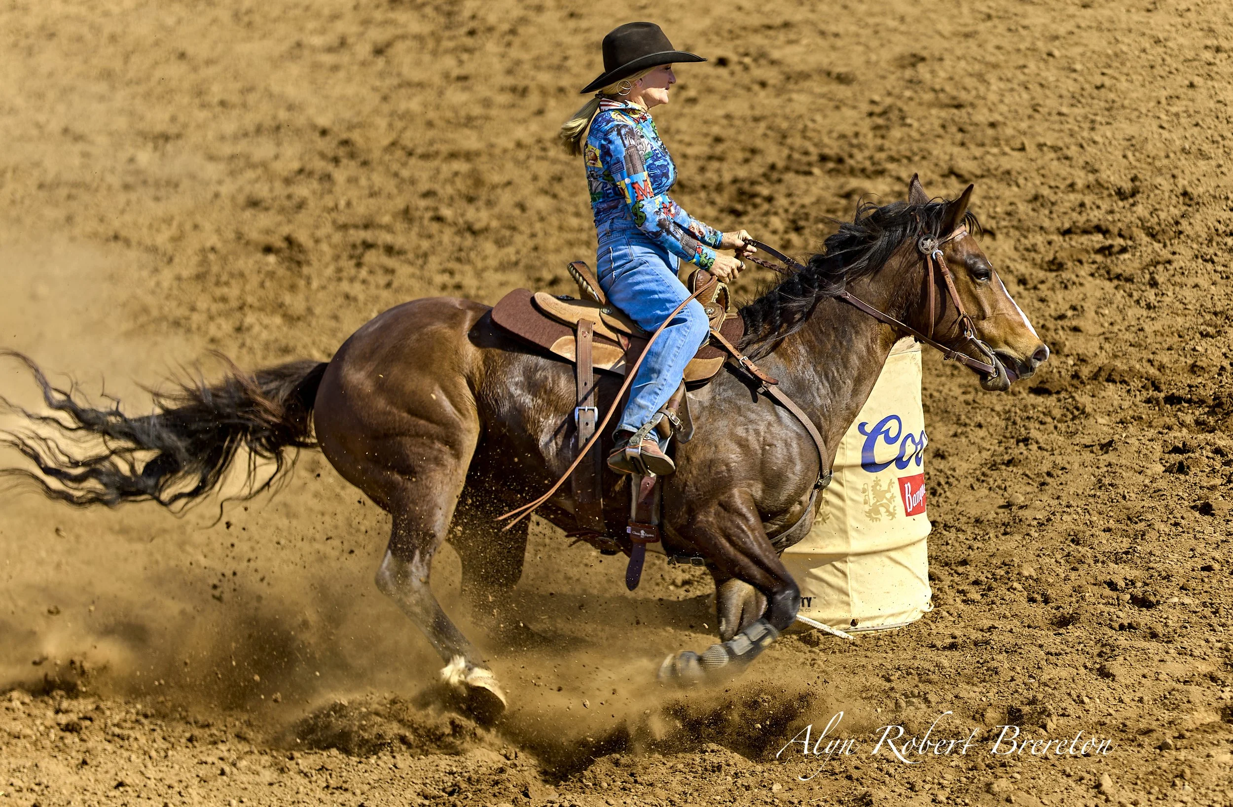 Alyn Robert Brereton 38.jpg