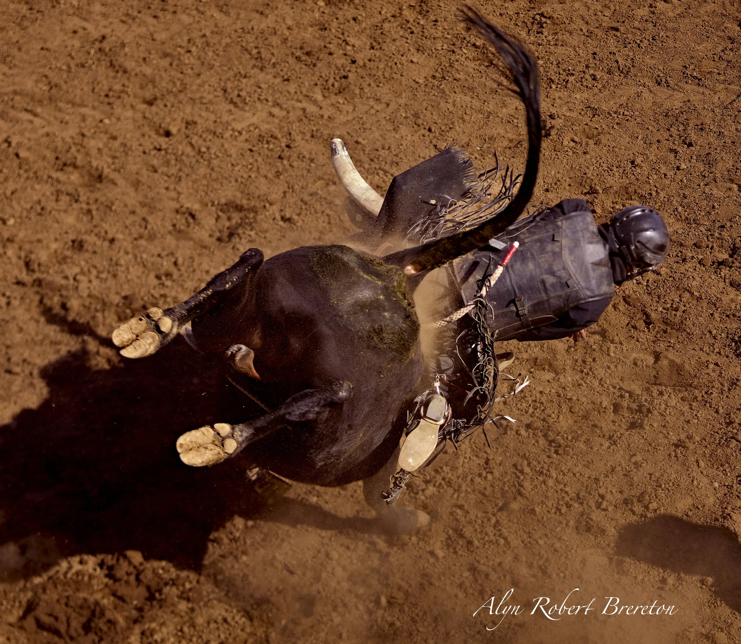 Alyn Robert Brereton 47.jpg