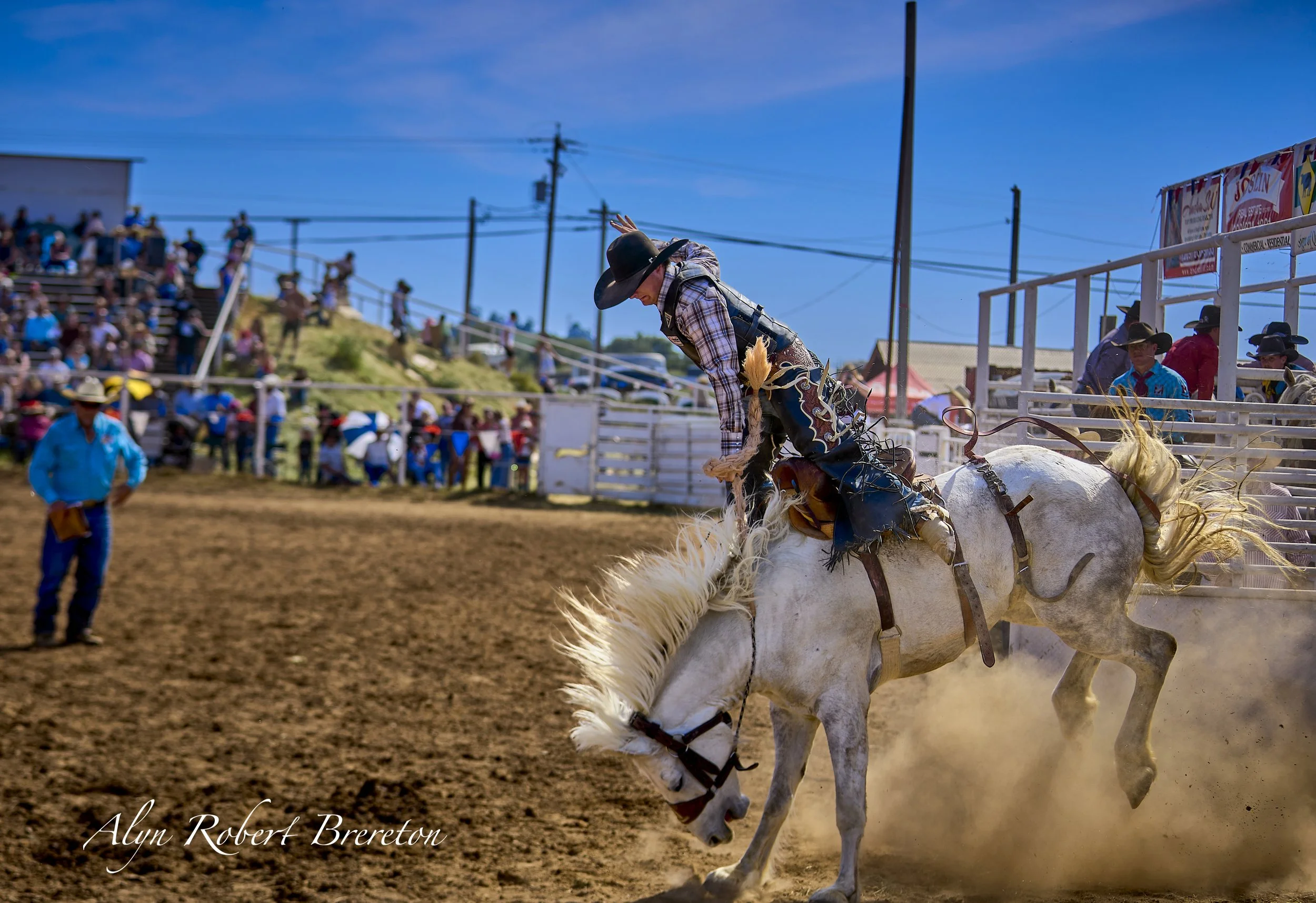 Alyn Robert Brereton 25.jpg