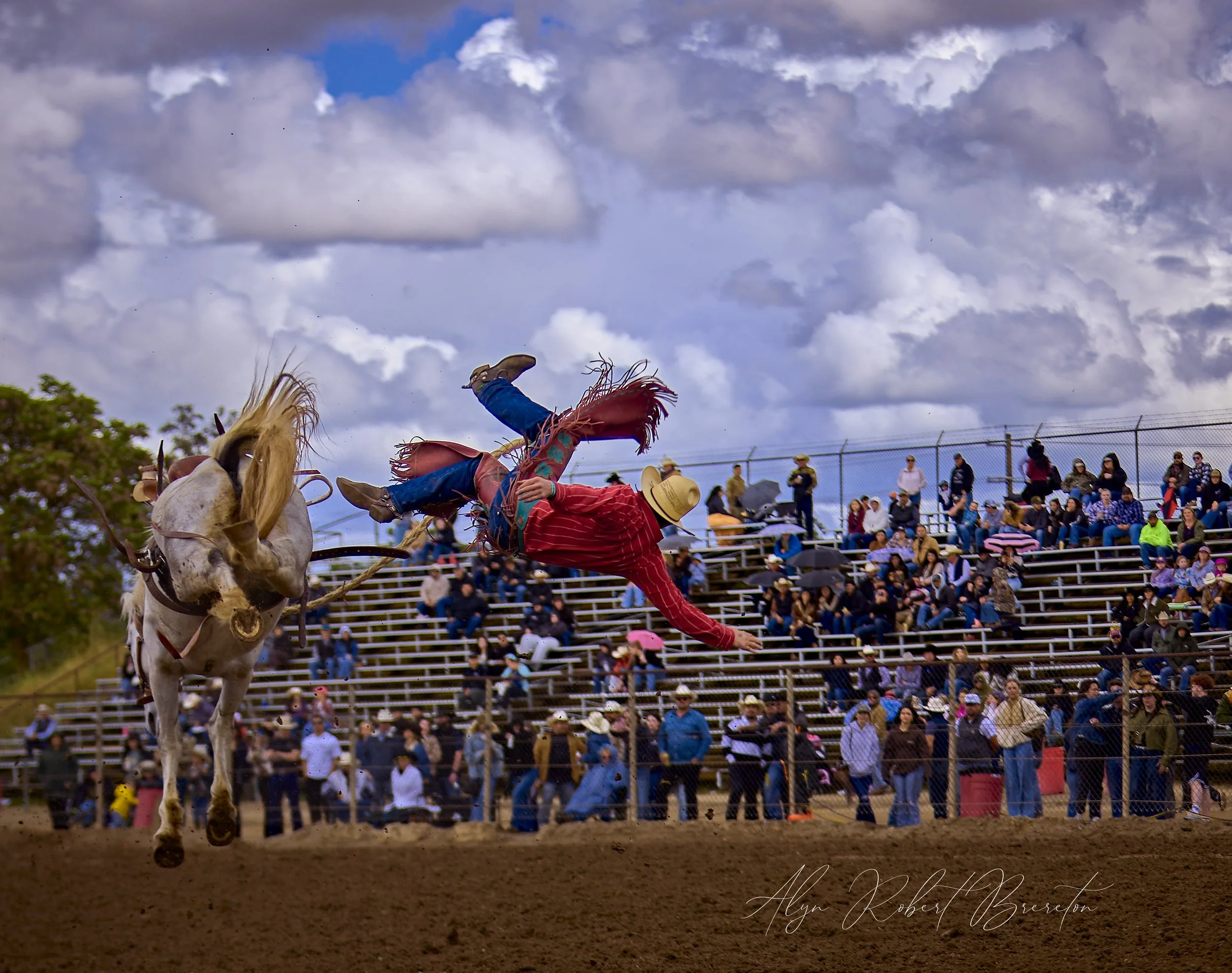 Alyn Robert Brereton 51.jpg