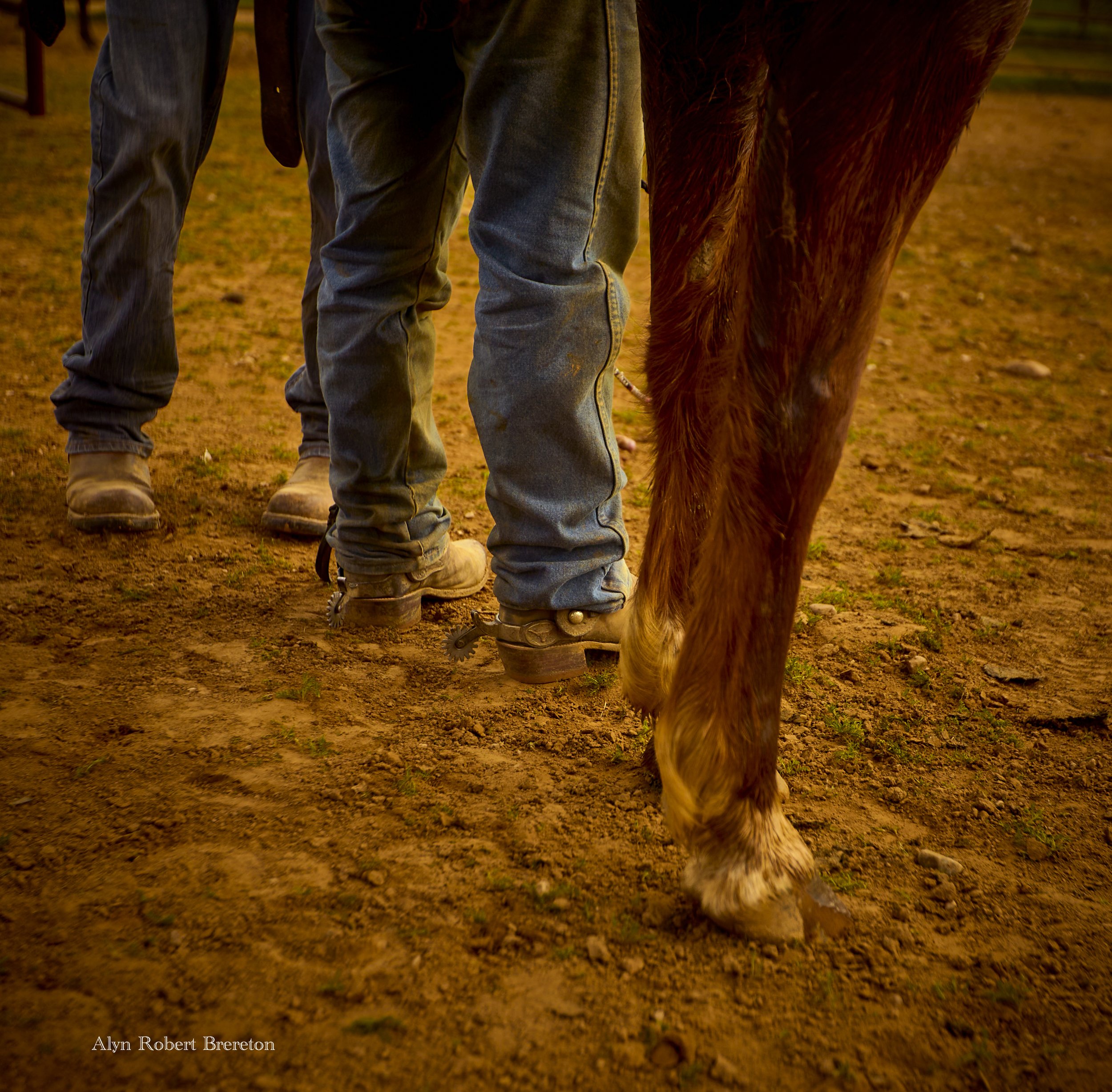 Alyn Robert Brereton 37.jpg