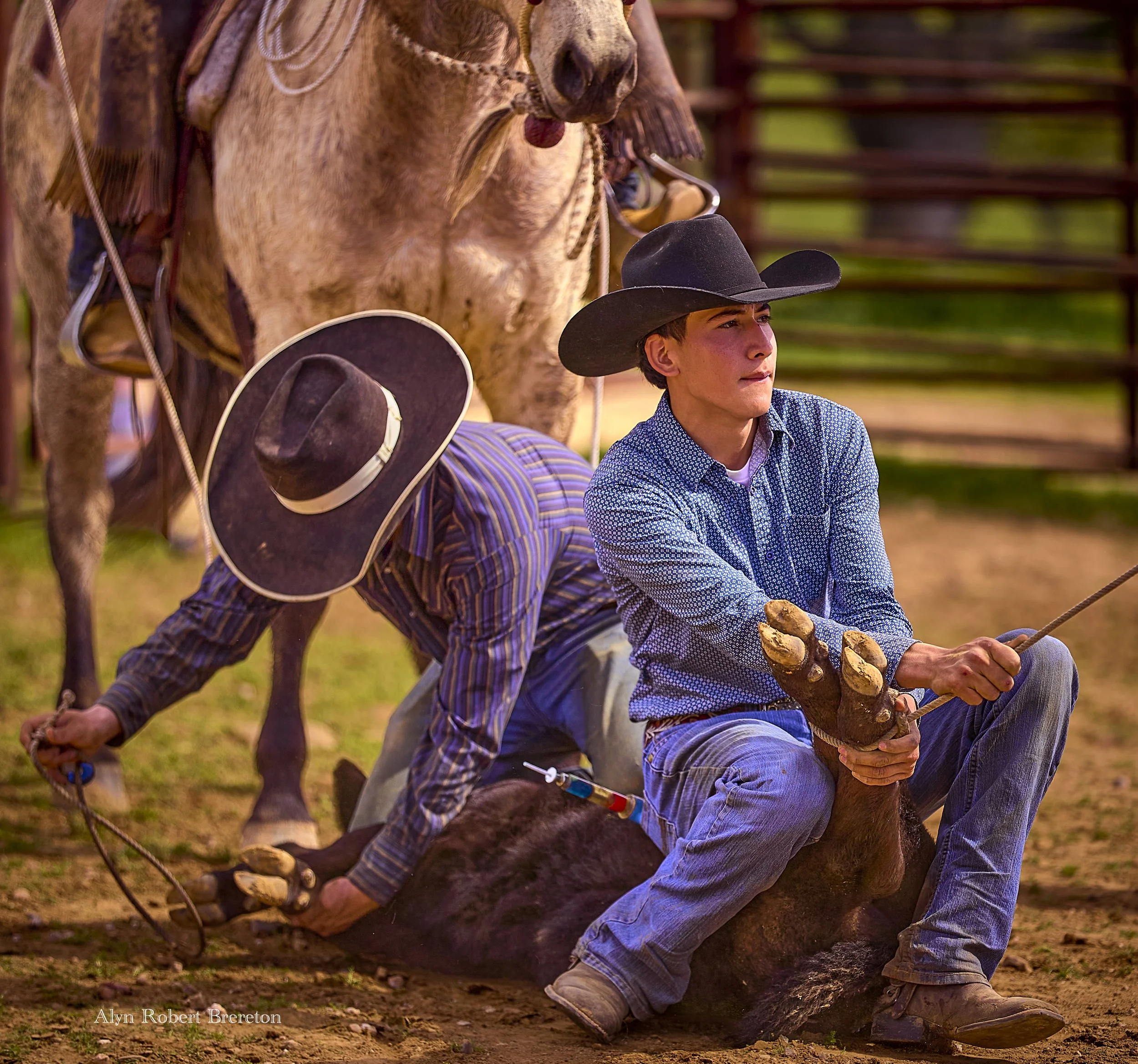 Alyn Robert Brereton 22.jpg