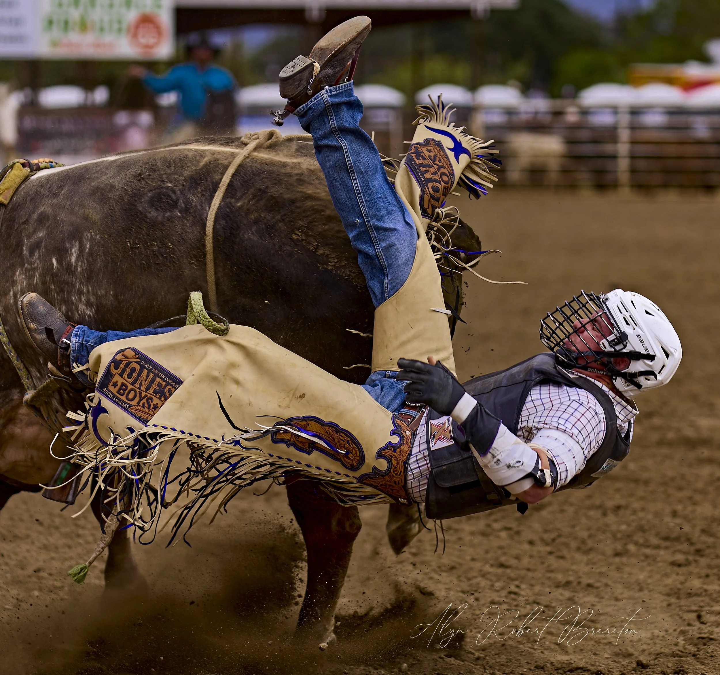 Alyn Robert Brereton 32.jpg