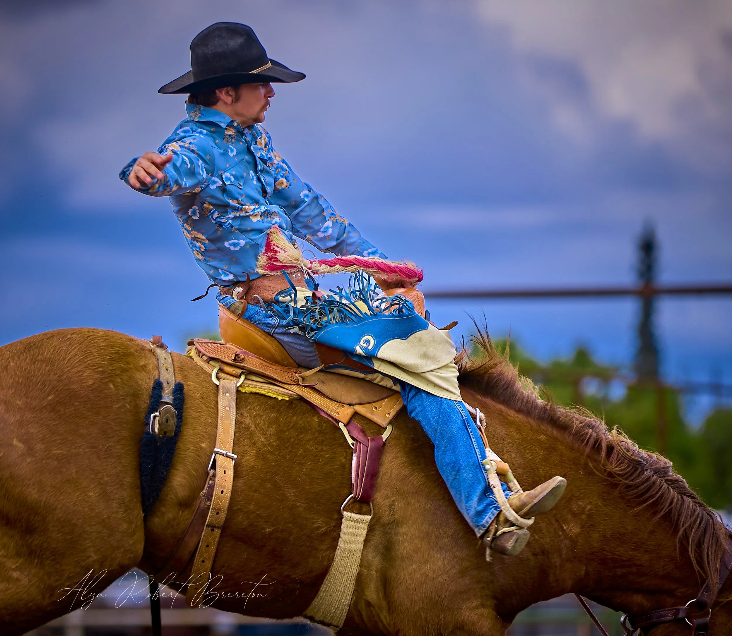 Alyn Robert Brereton 48.jpg