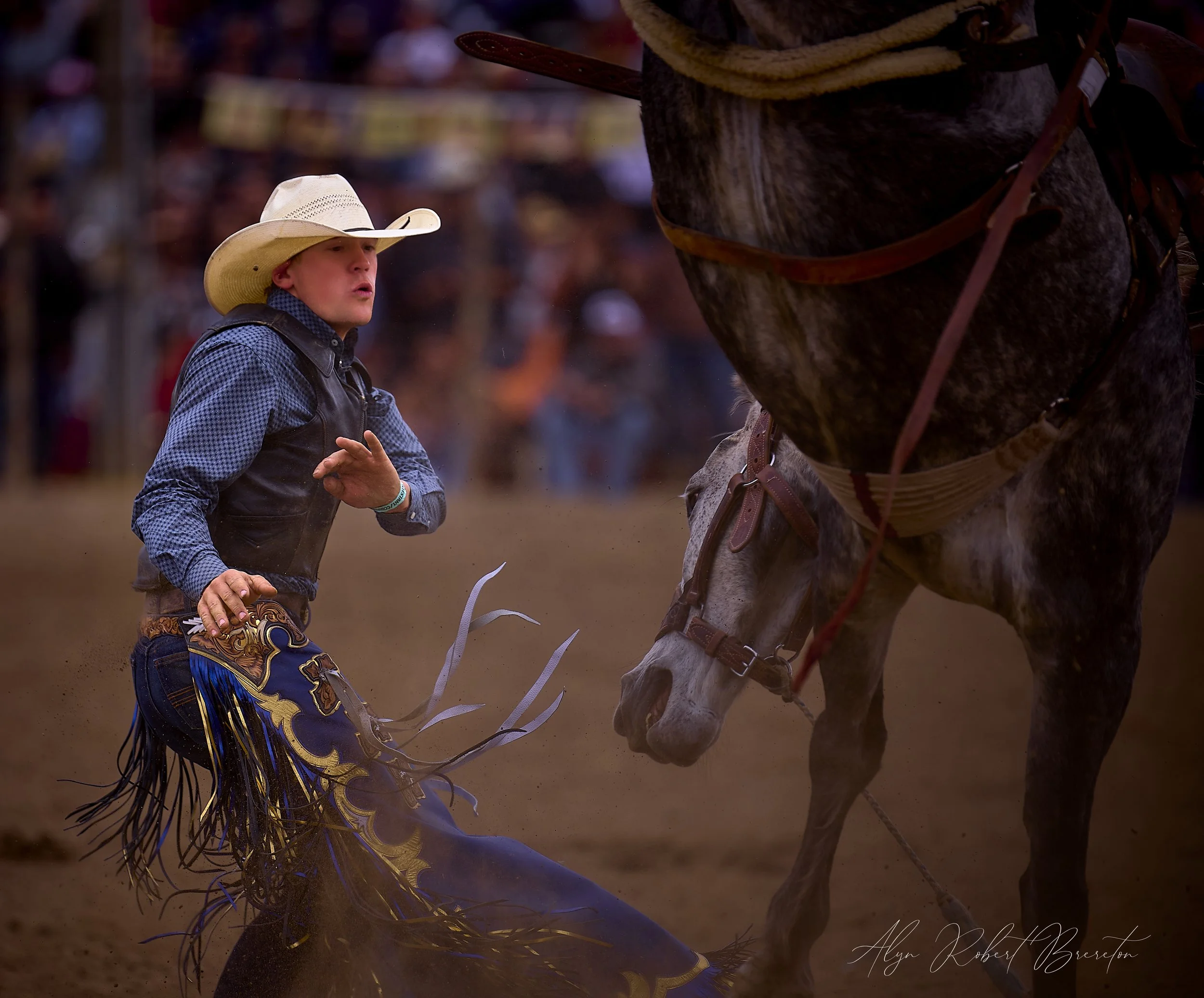 Alyn Robert Brereton 23.jpg