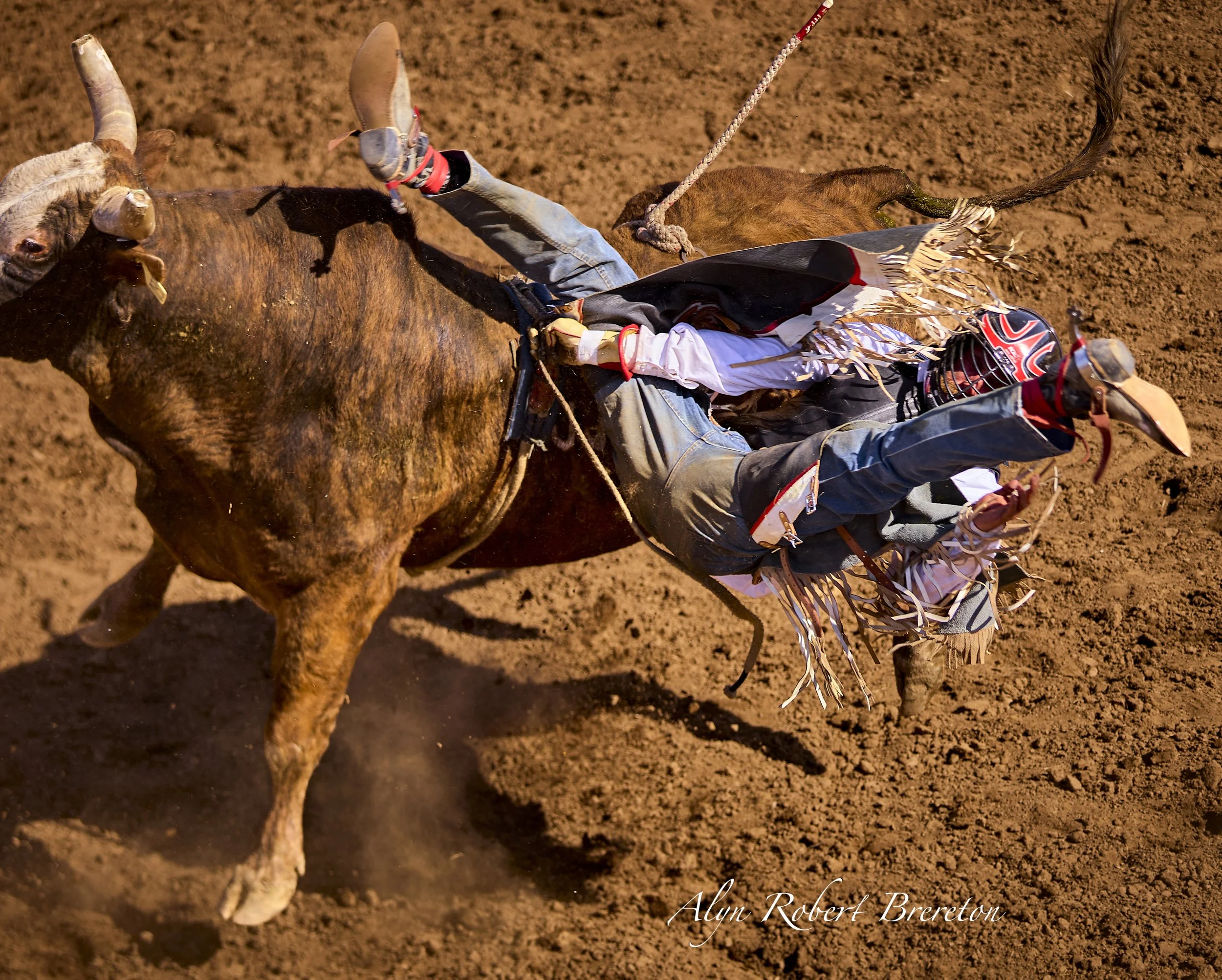 Alyn Robert Brereton 41.jpg