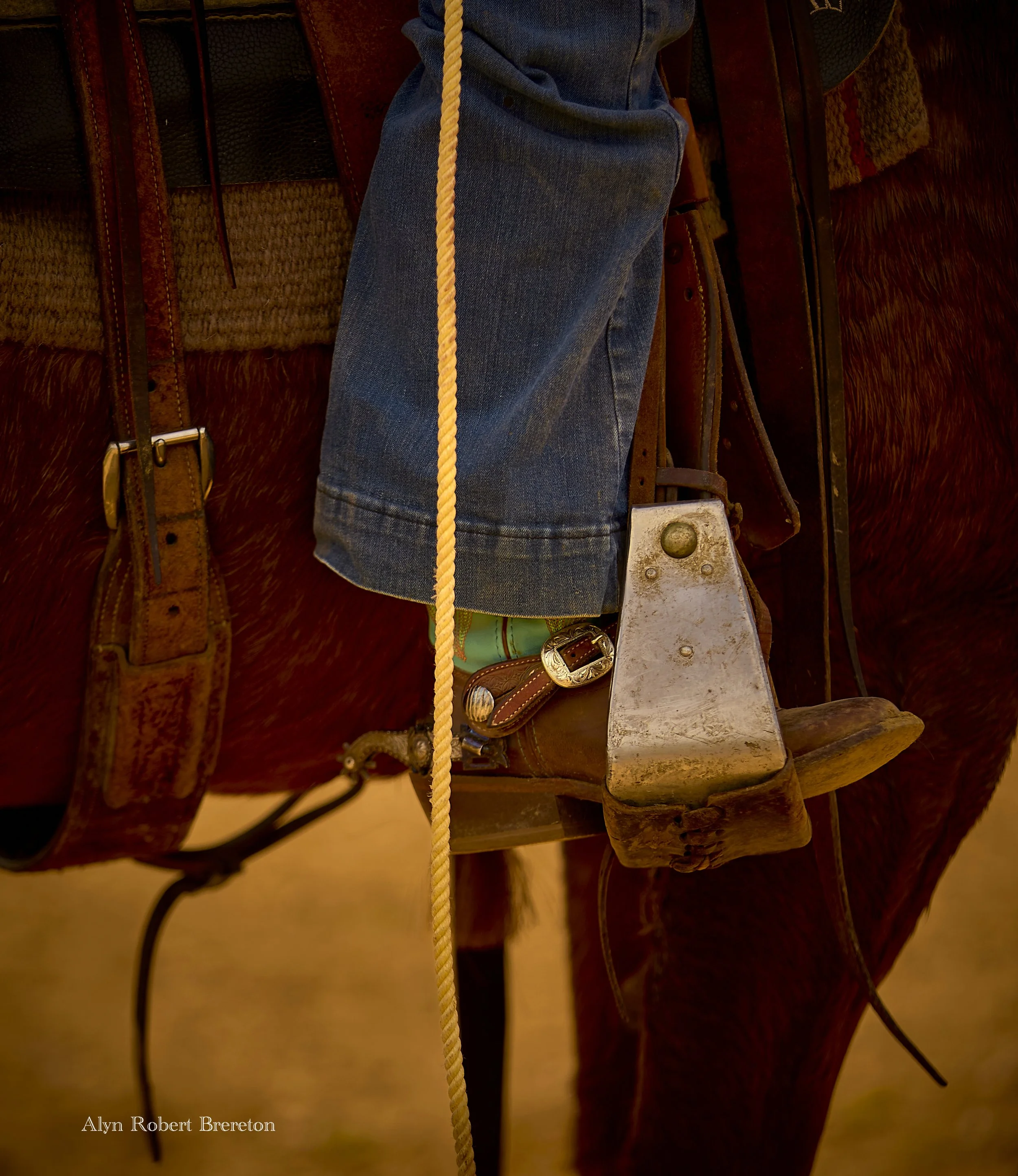 Alyn Robert Brereton 23.jpg