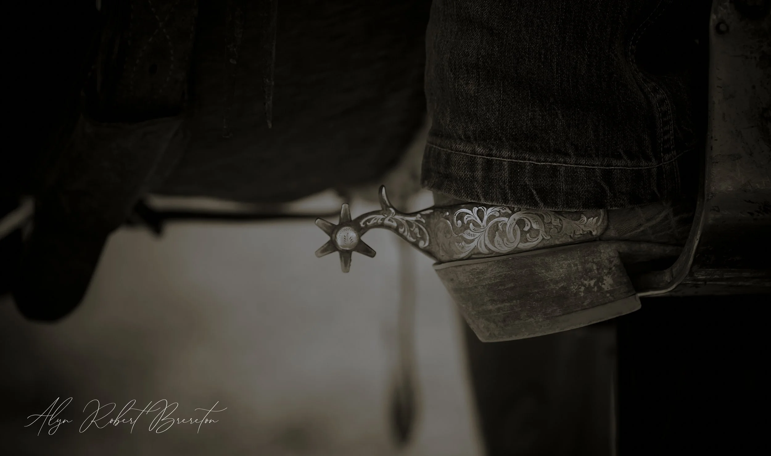 Alyn Robert Brereton 12.jpg