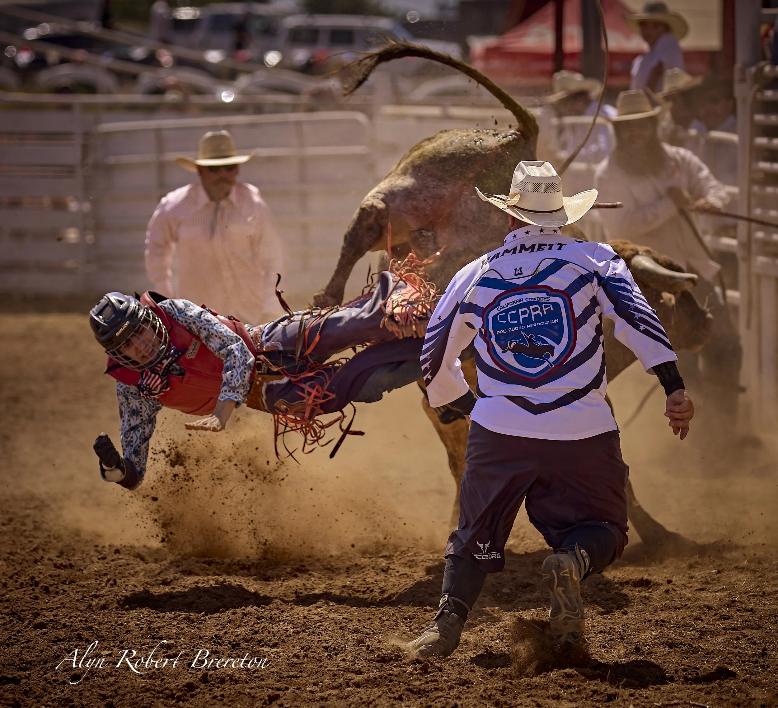 Alyn Robert Brereton 5.jpg