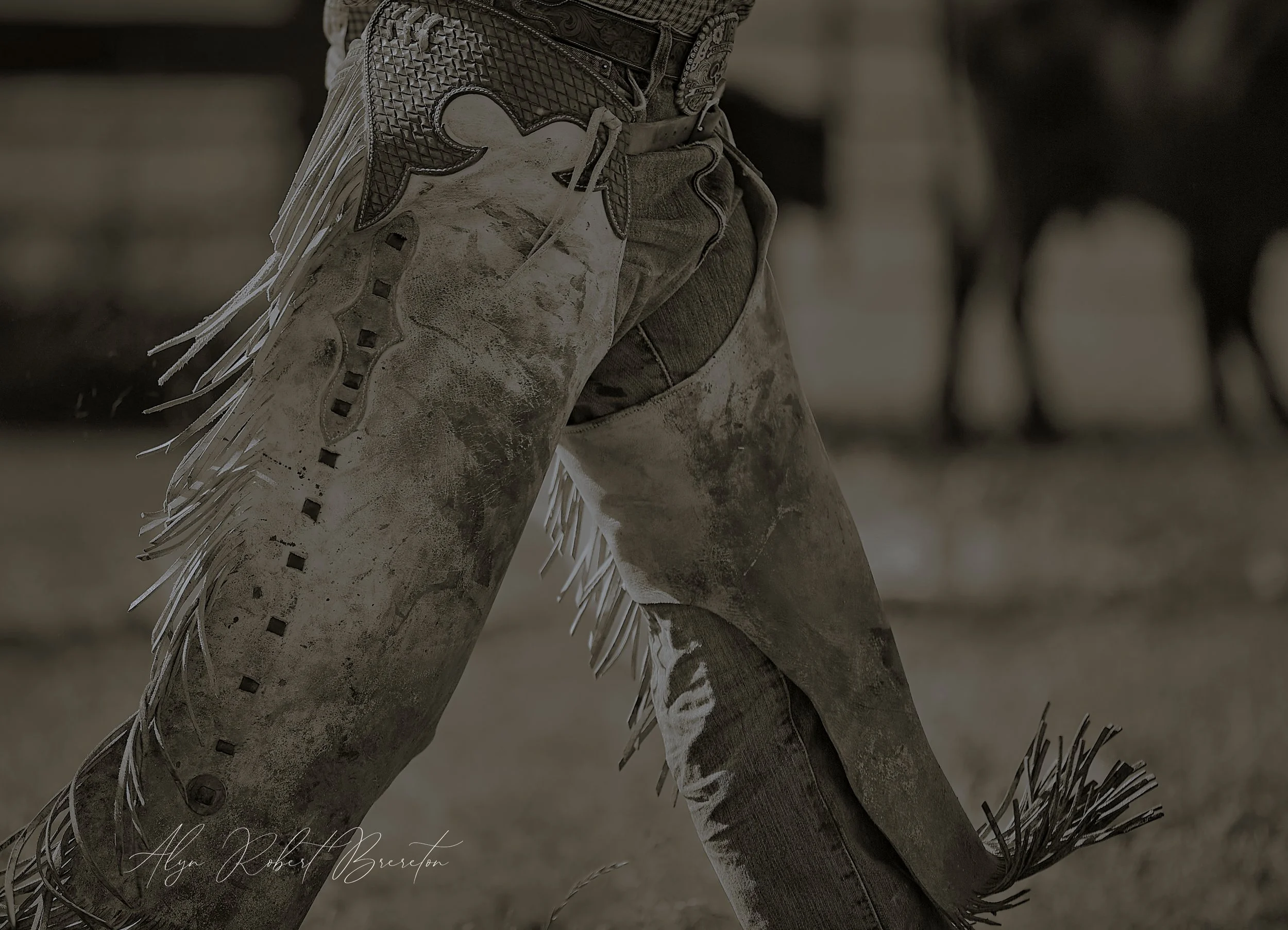 Alyn Robert Brereton 8.jpg