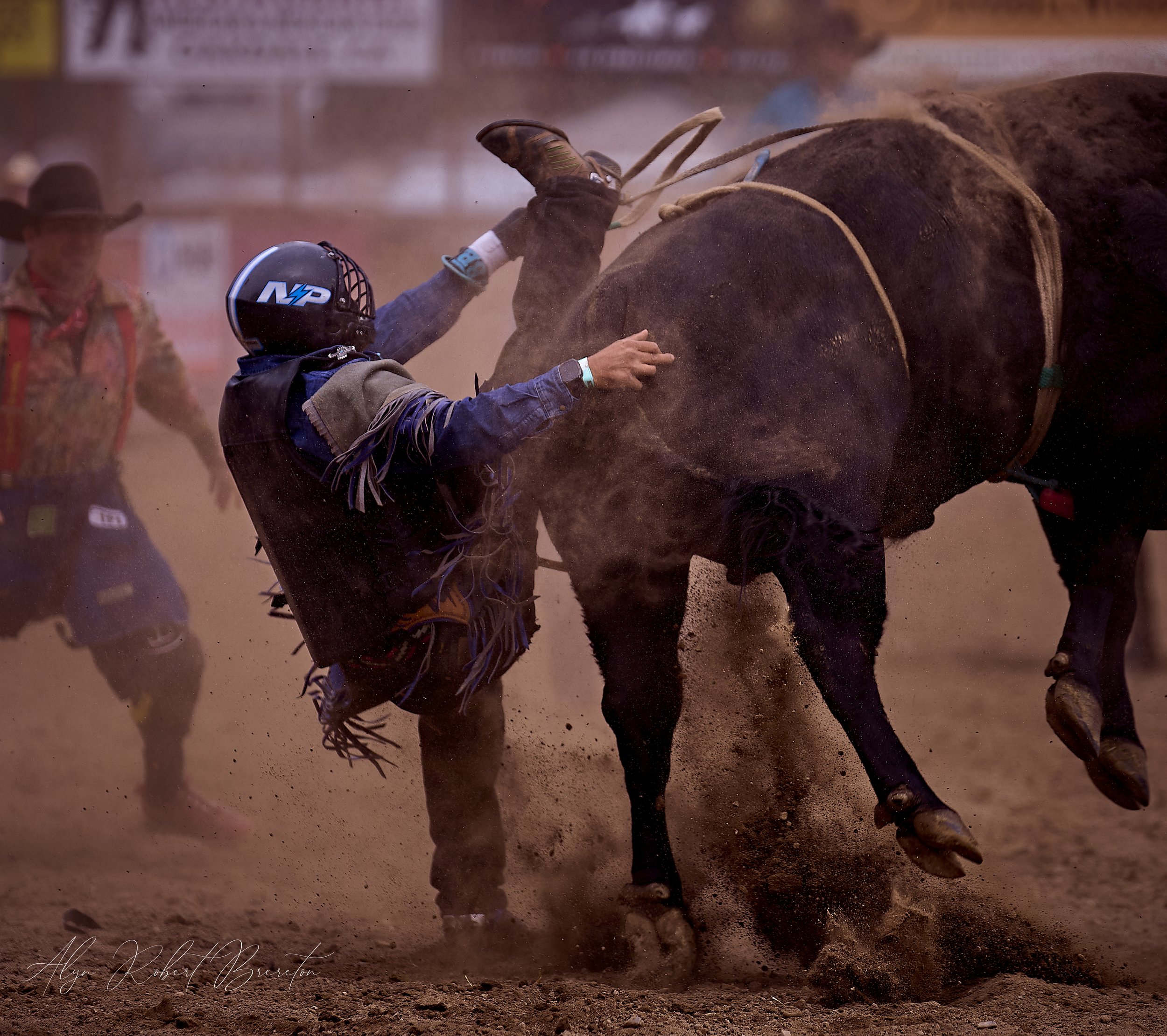 Alyn Robert Brereton 29.jpg