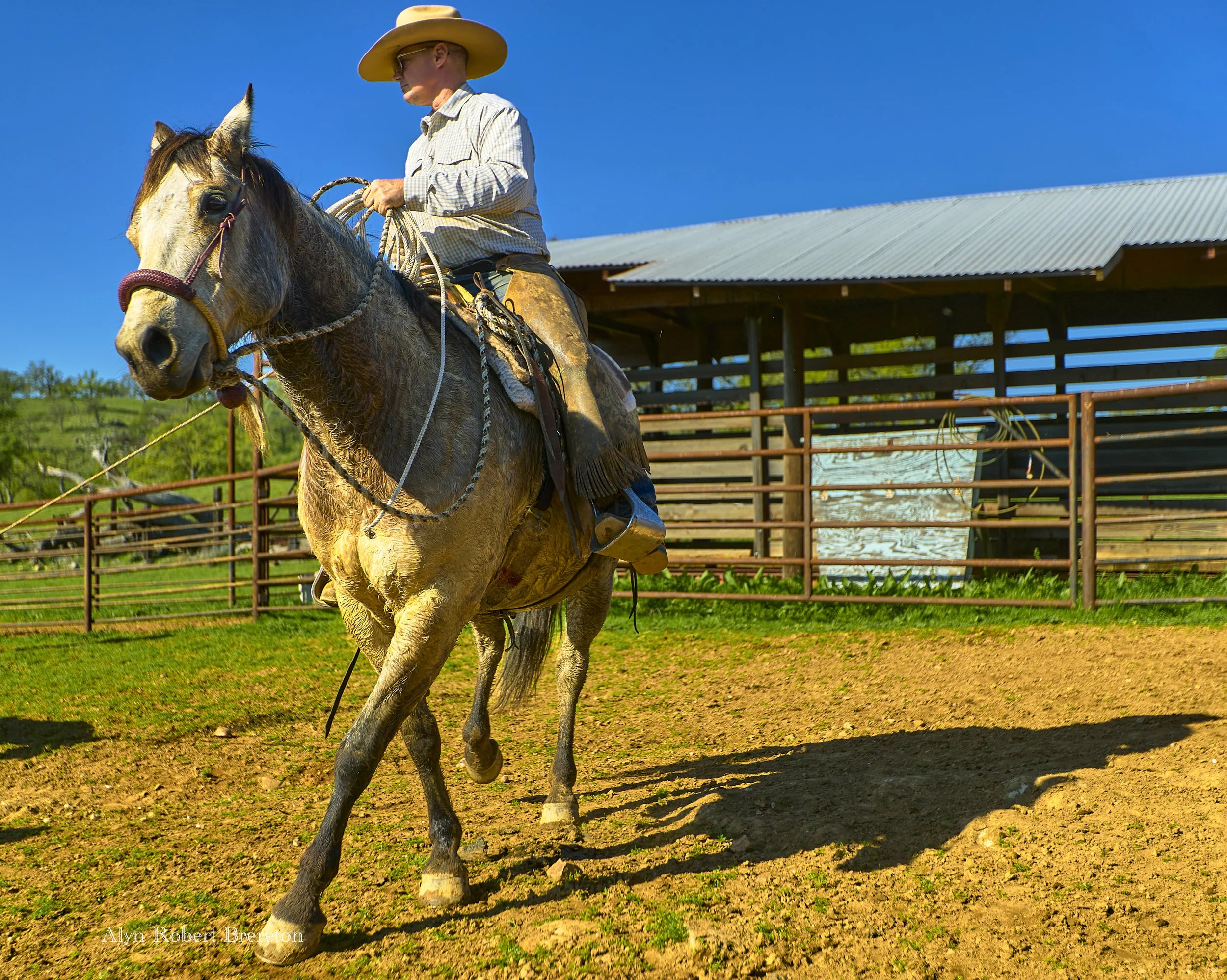 Alyn Robert Brereton 8.jpg