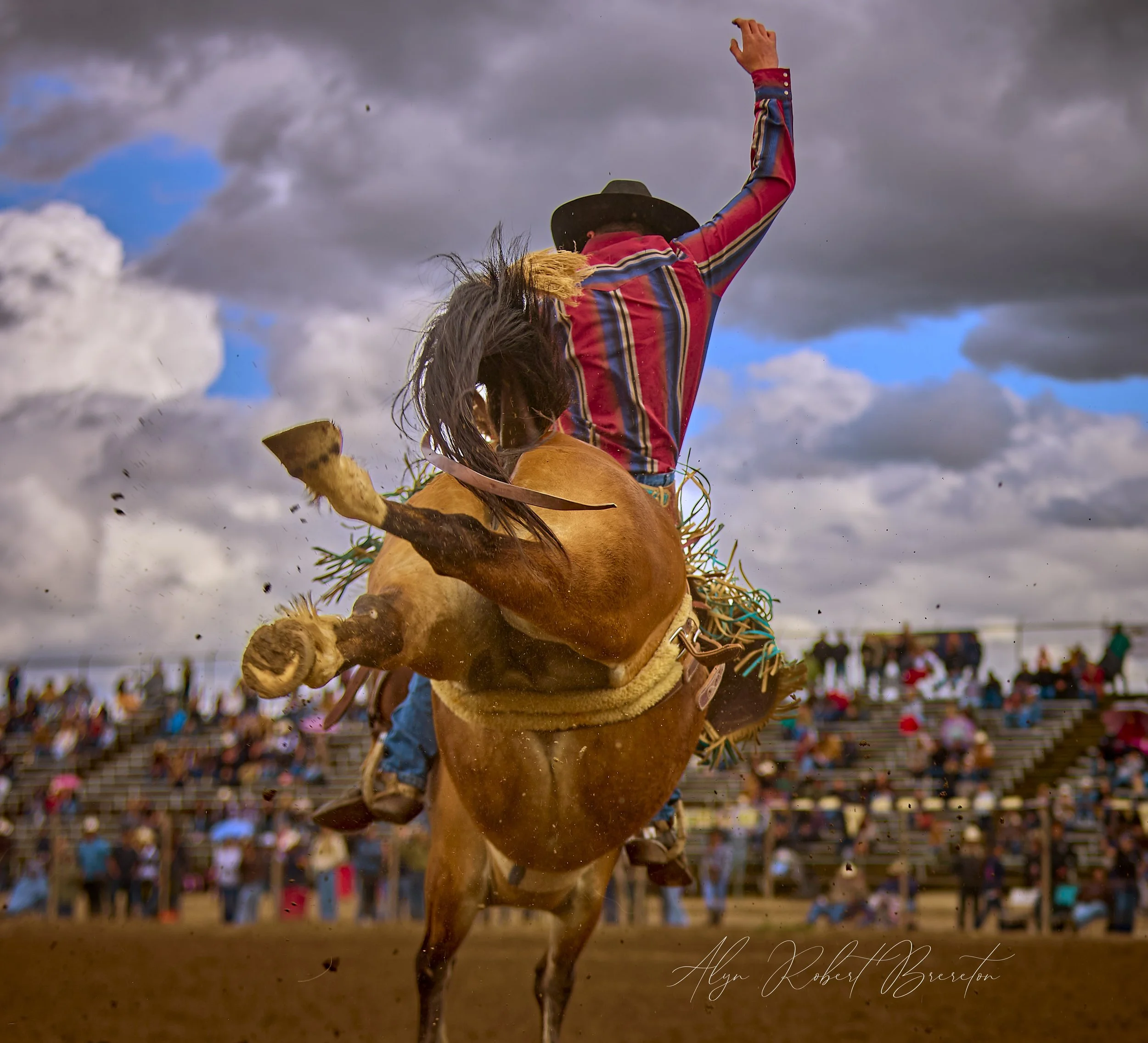 Alyn Robert Brereton 54.jpg