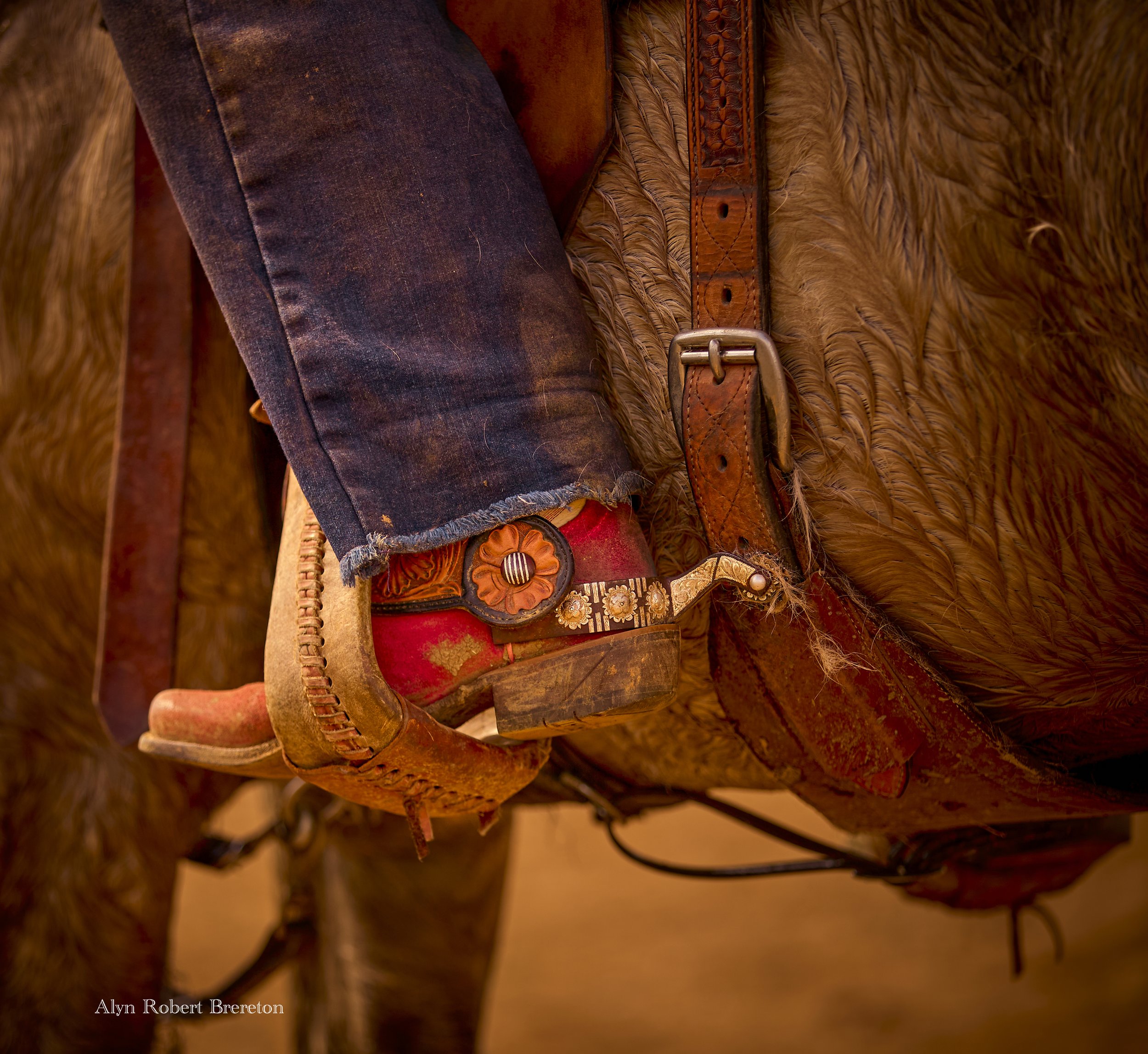 Alyn Robert Brereton 28.jpg