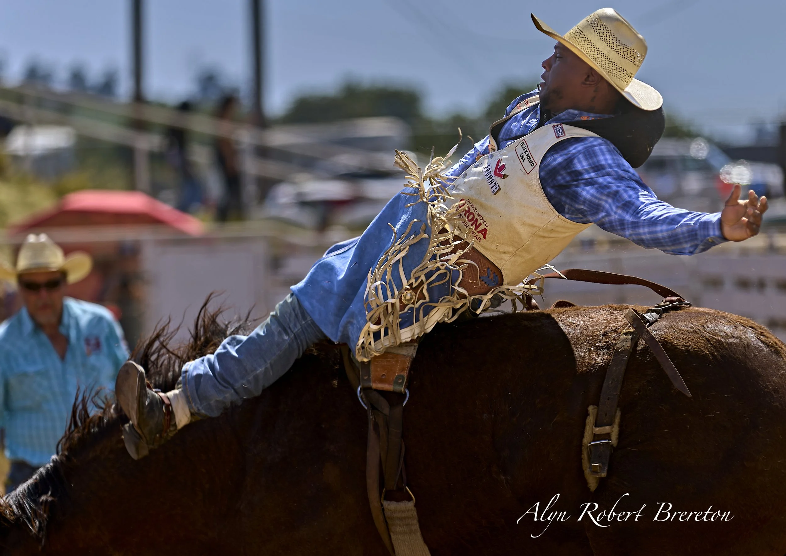 Alyn Robert Brereton 17.jpg