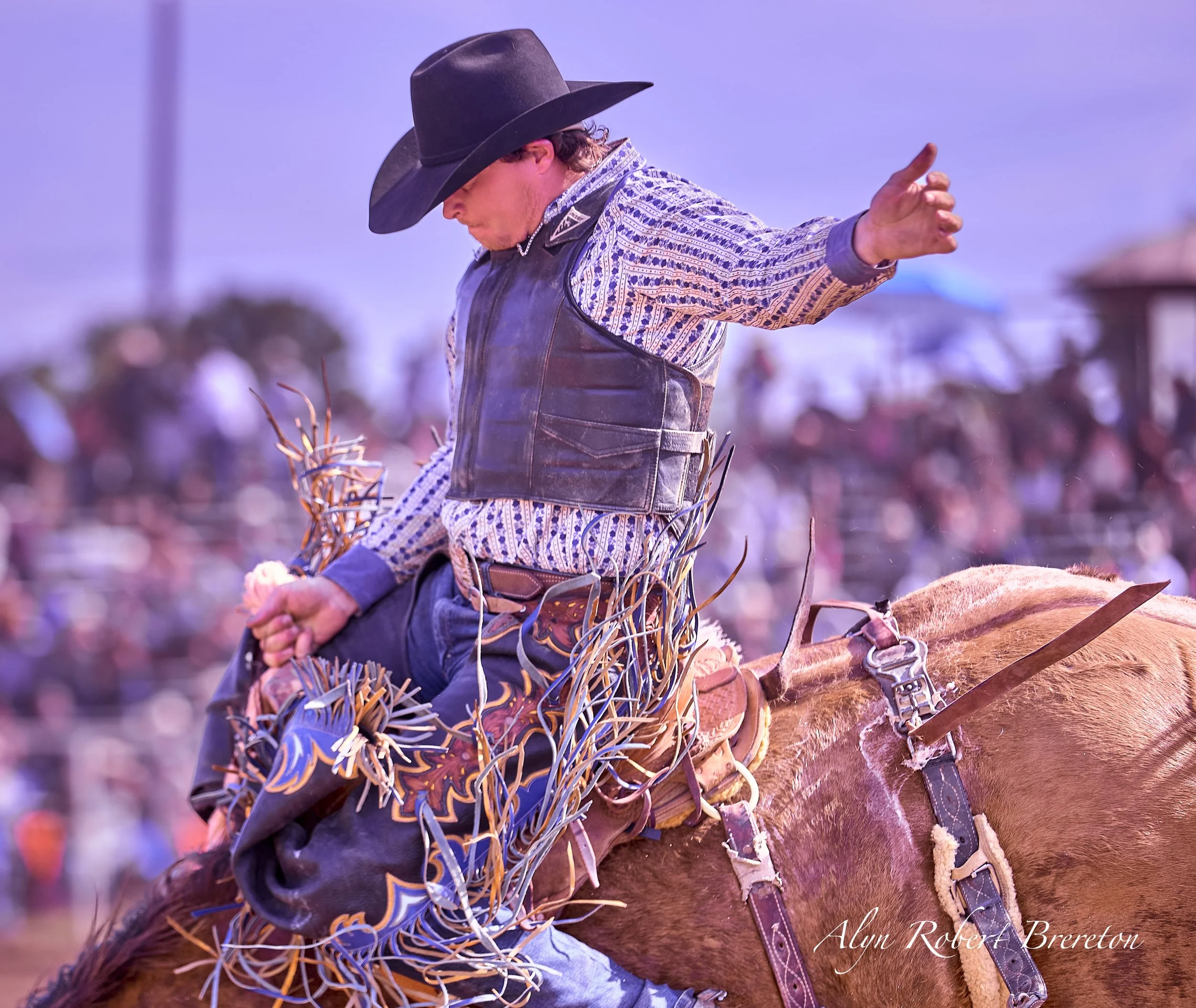 Alyn Robert Brereton 31.jpg