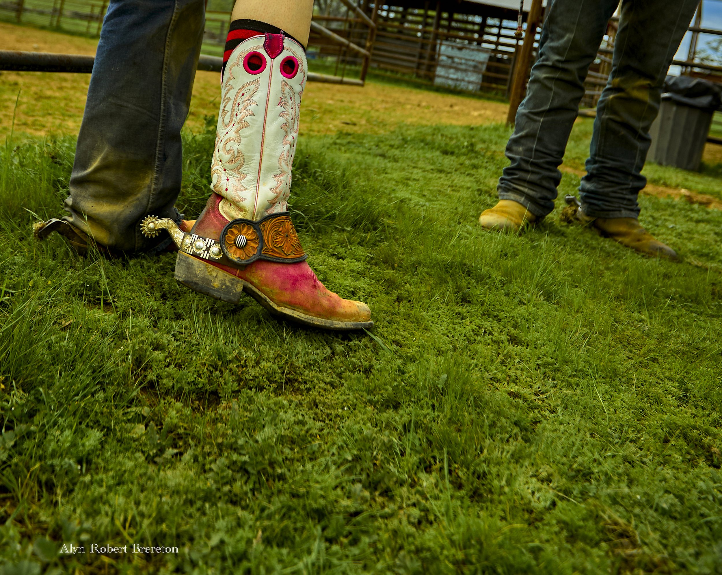 Alyn Robert Brereton 38.jpg