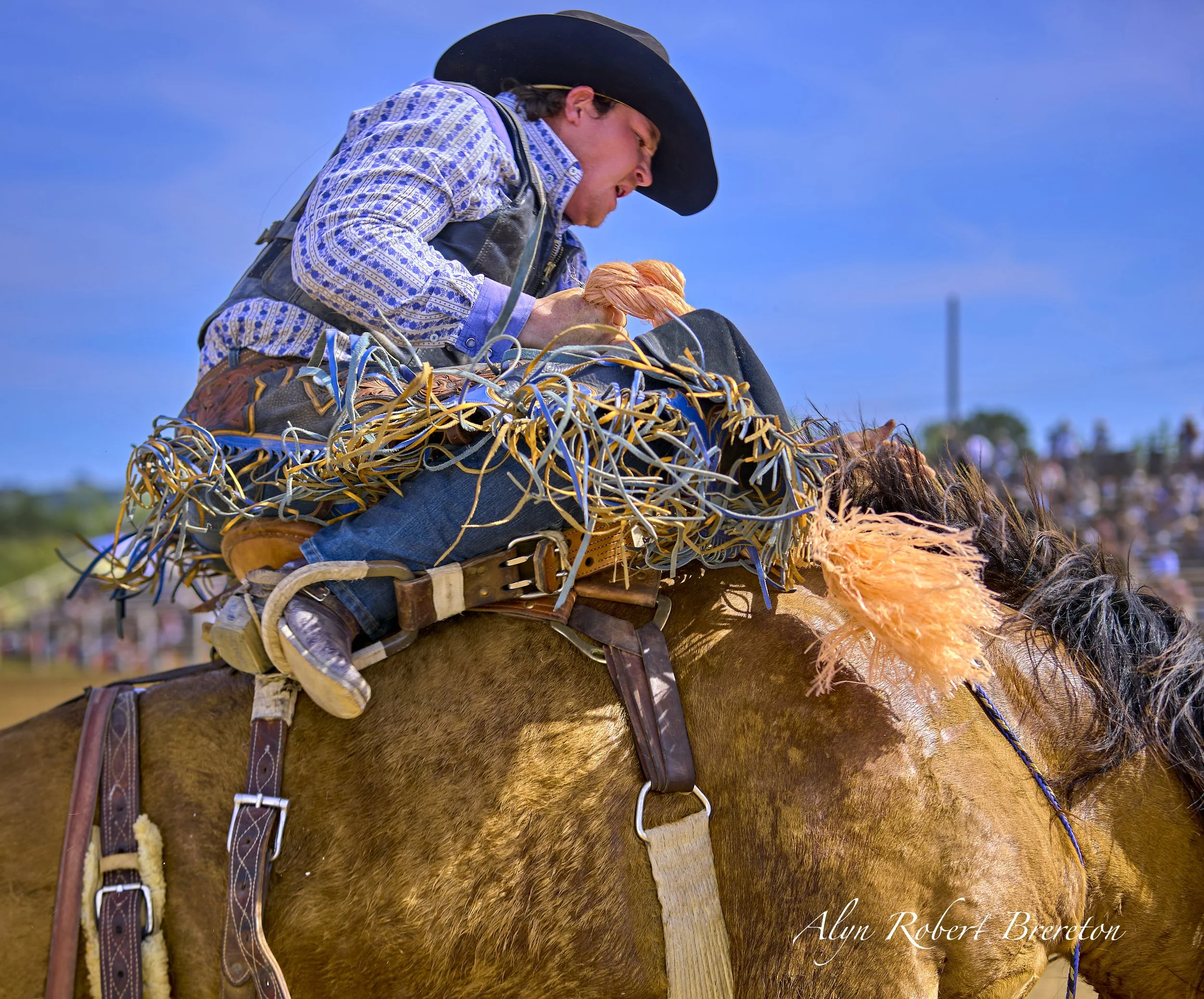 Alyn Robert Brereton 36.jpg