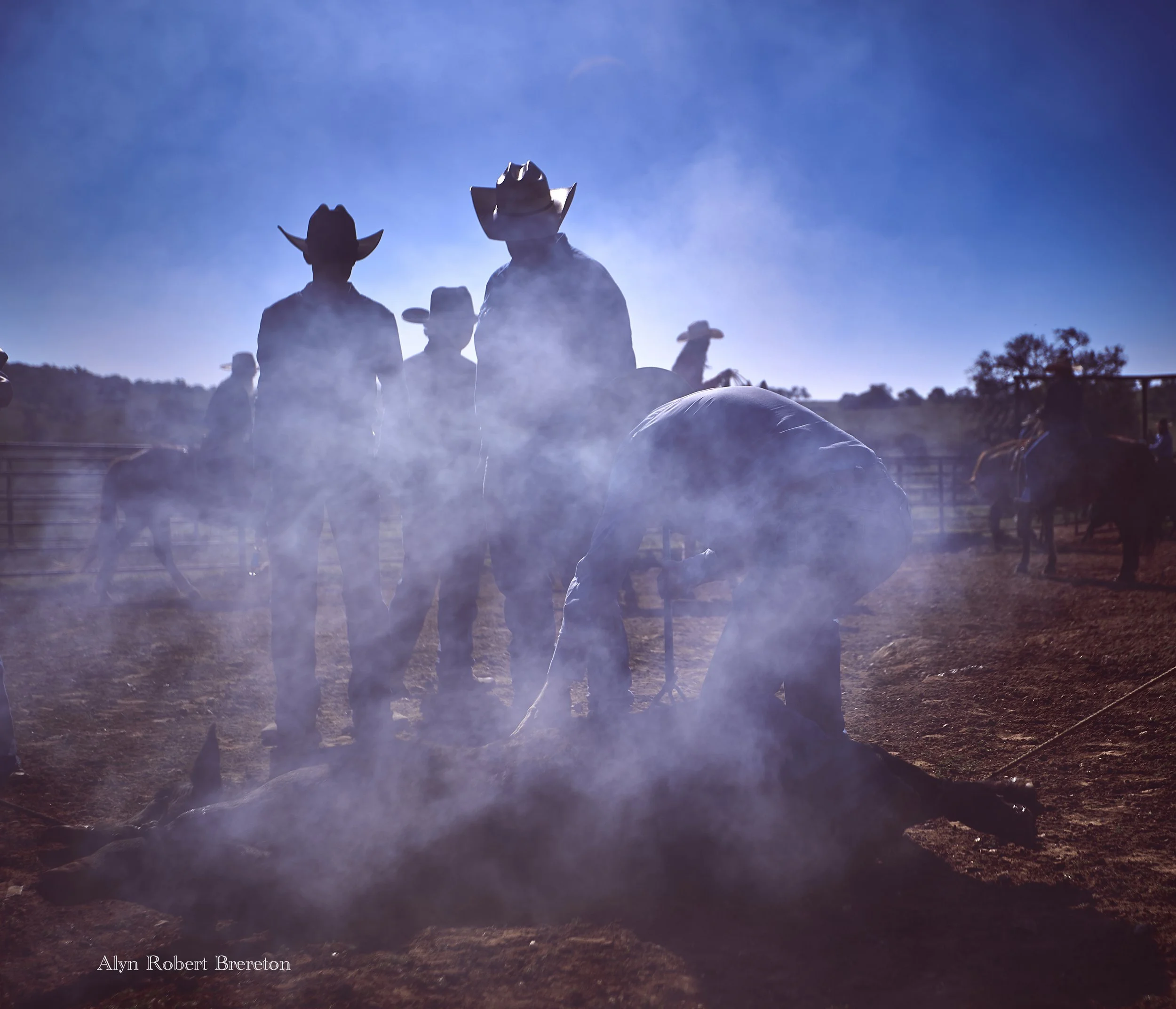 Alyn Robert Brereton 9.jpg